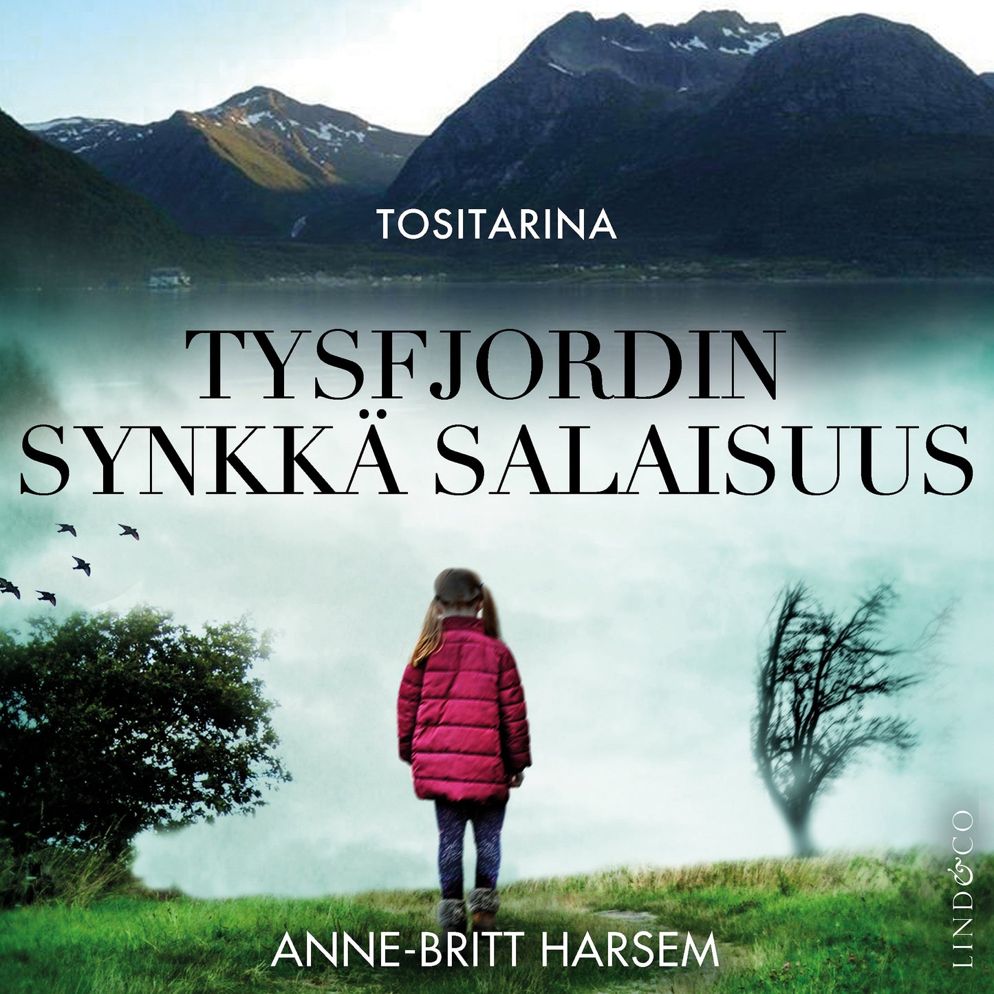 Tysfjordin synkkä salaisuus – Ljudbok