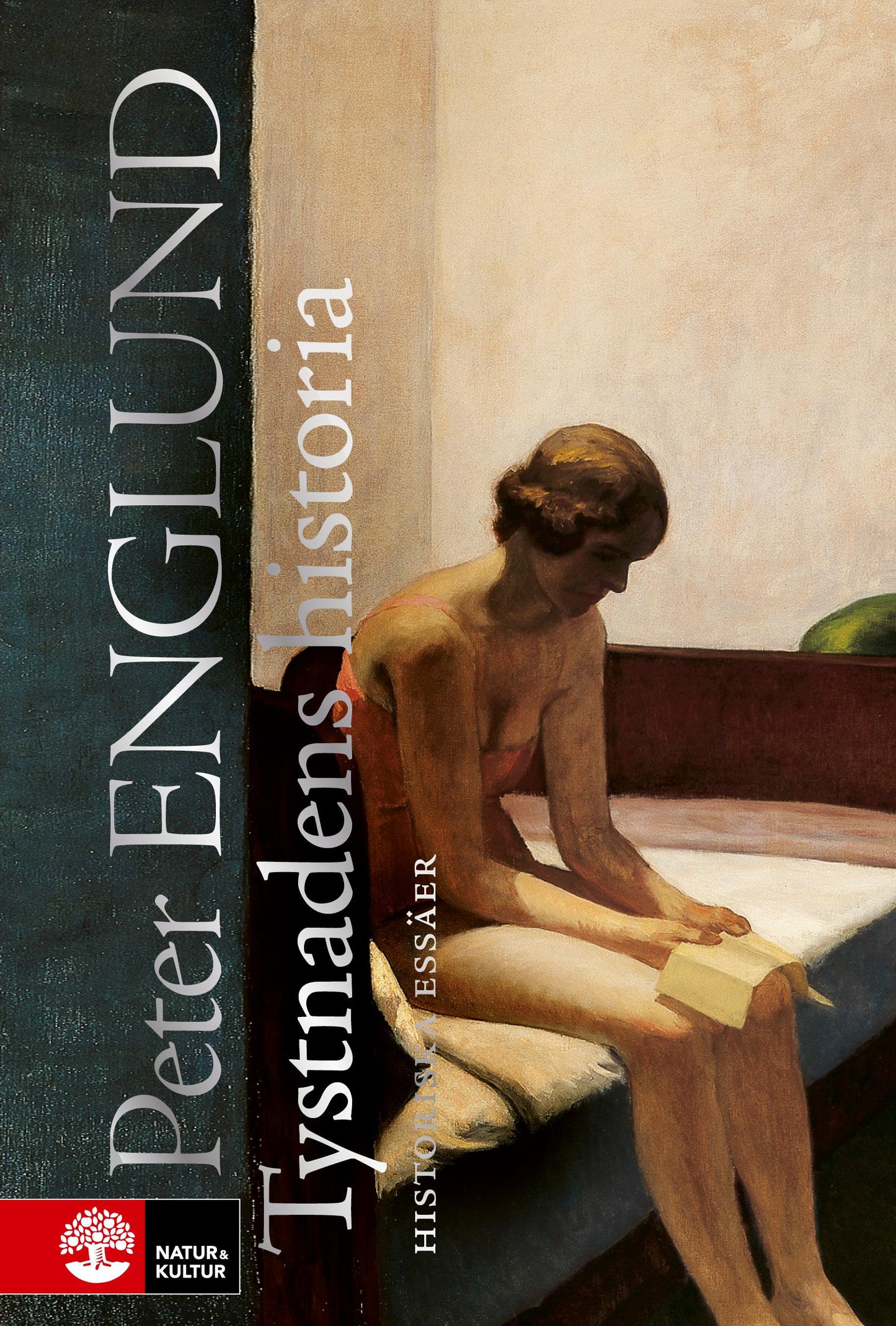 Tystnadens historia och andra essäer – E-bok