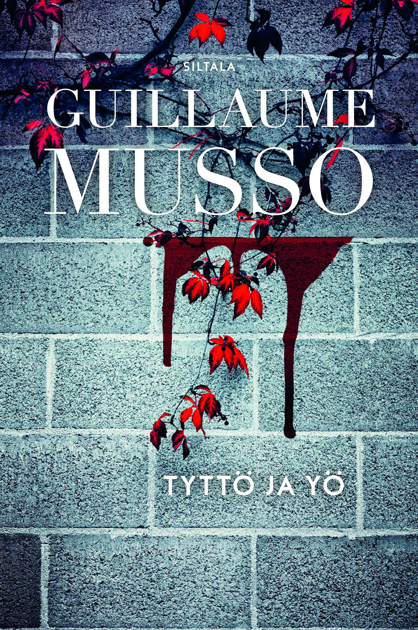 Tyttö ja yö – E-bok