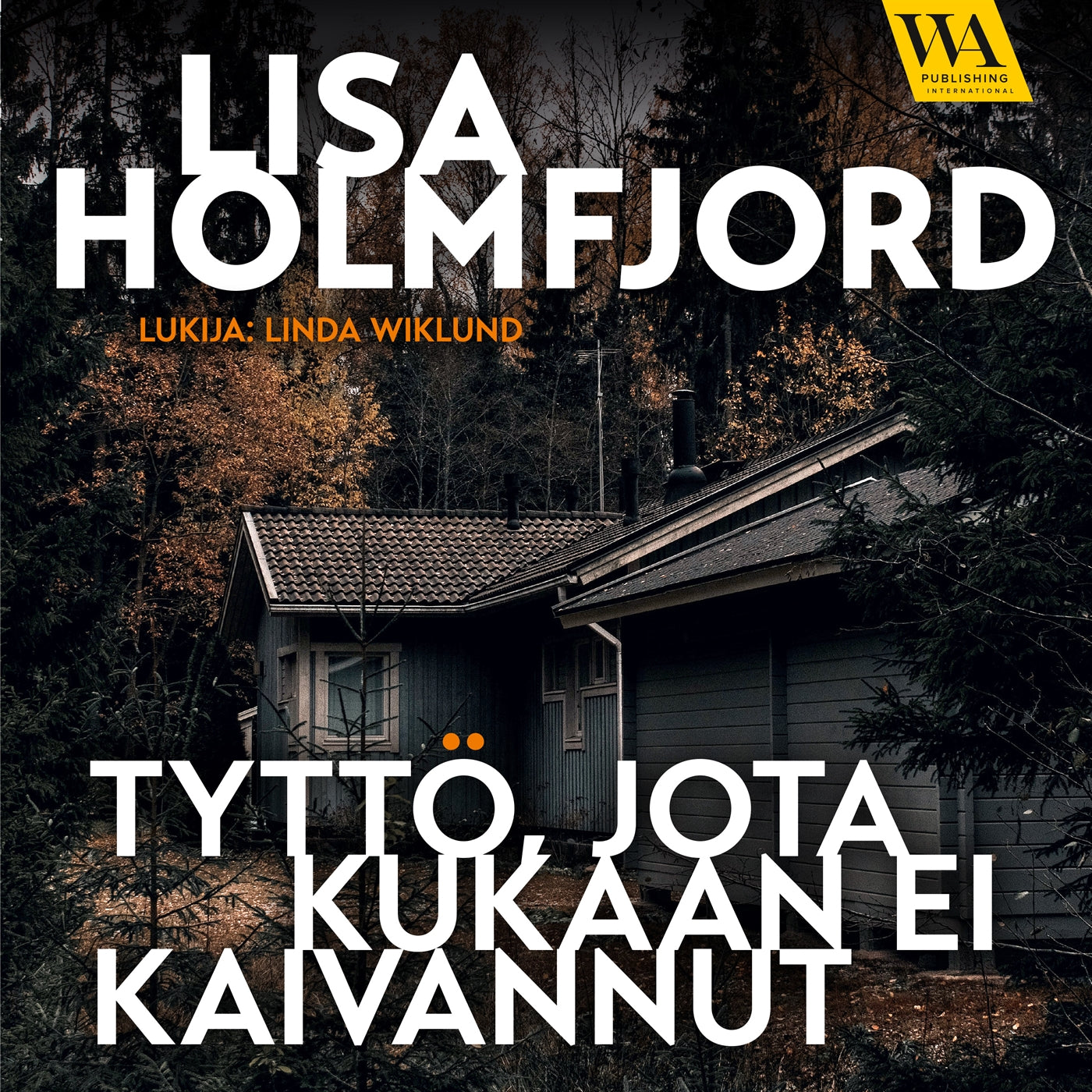 Tyttö jota kukaan ei kaivannut – Ljudbok