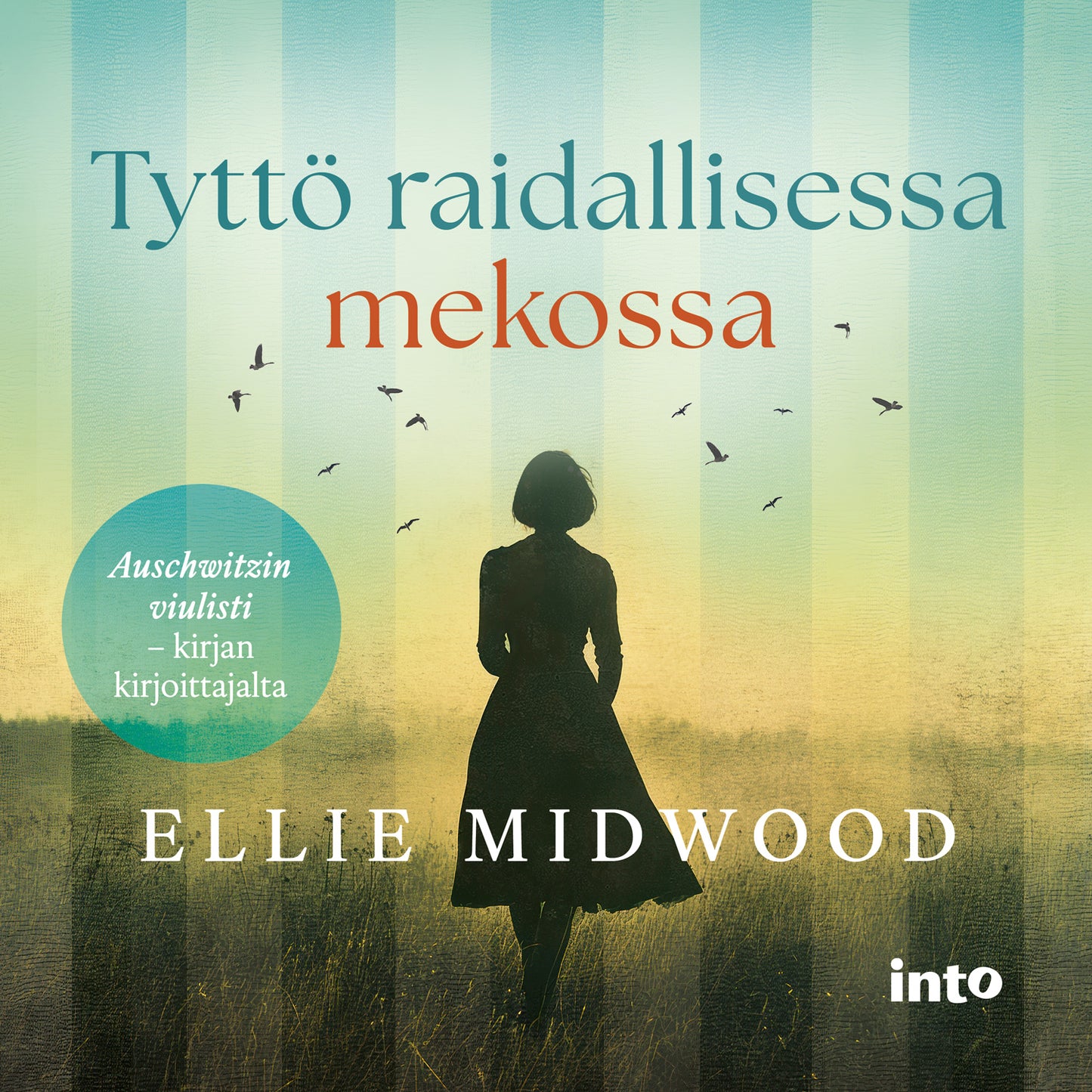 Tyttö raidallisessa mekossa – Ljudbok