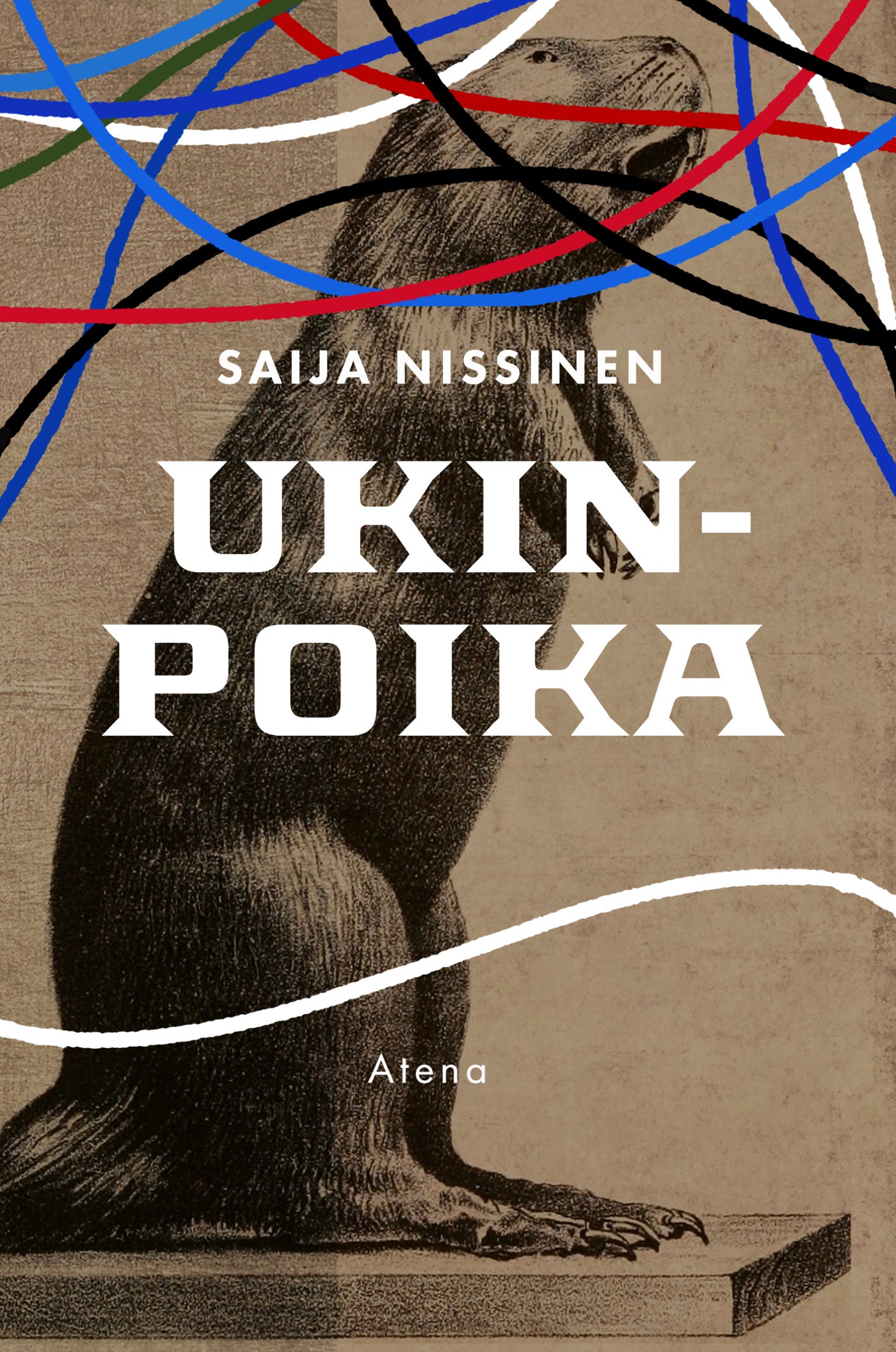Ukinpoika – E-bok