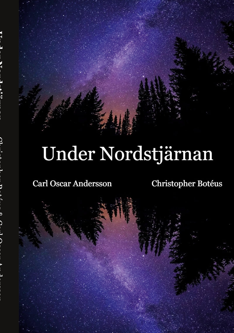 Under Nordstjärnan – E-bok