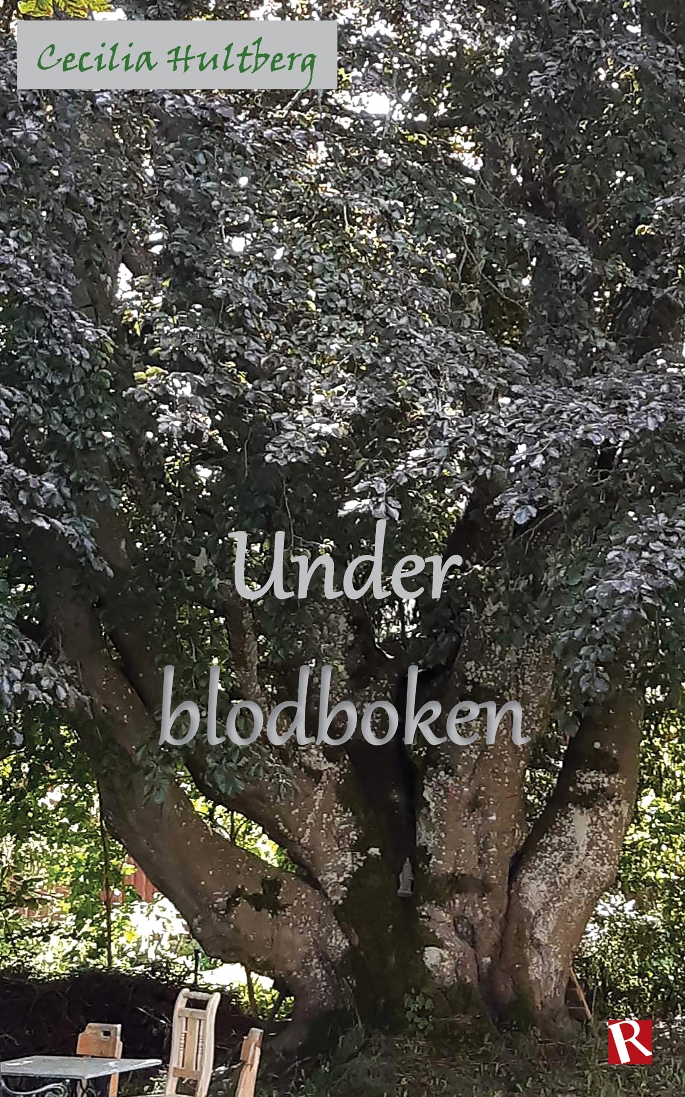 Under blodboken – E-bok