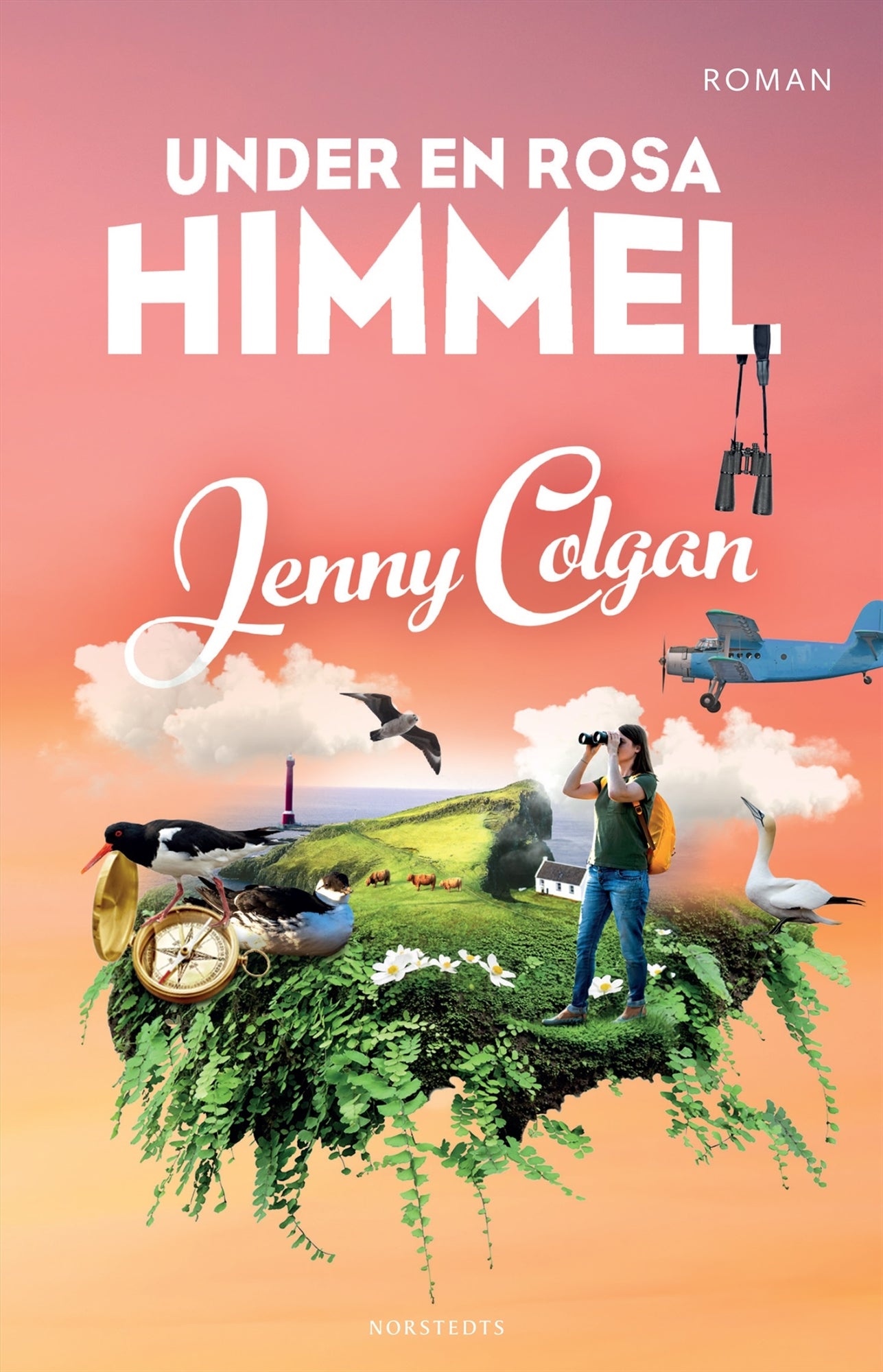 Under en rosa himmel – E-bok