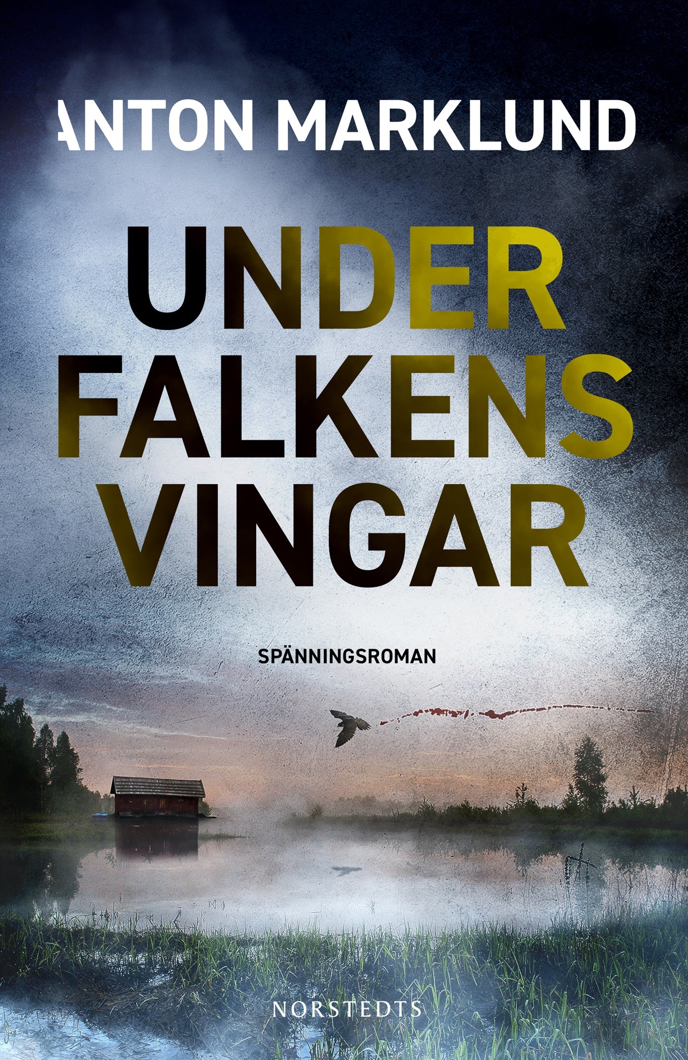 Under falkens vingar – E-bok