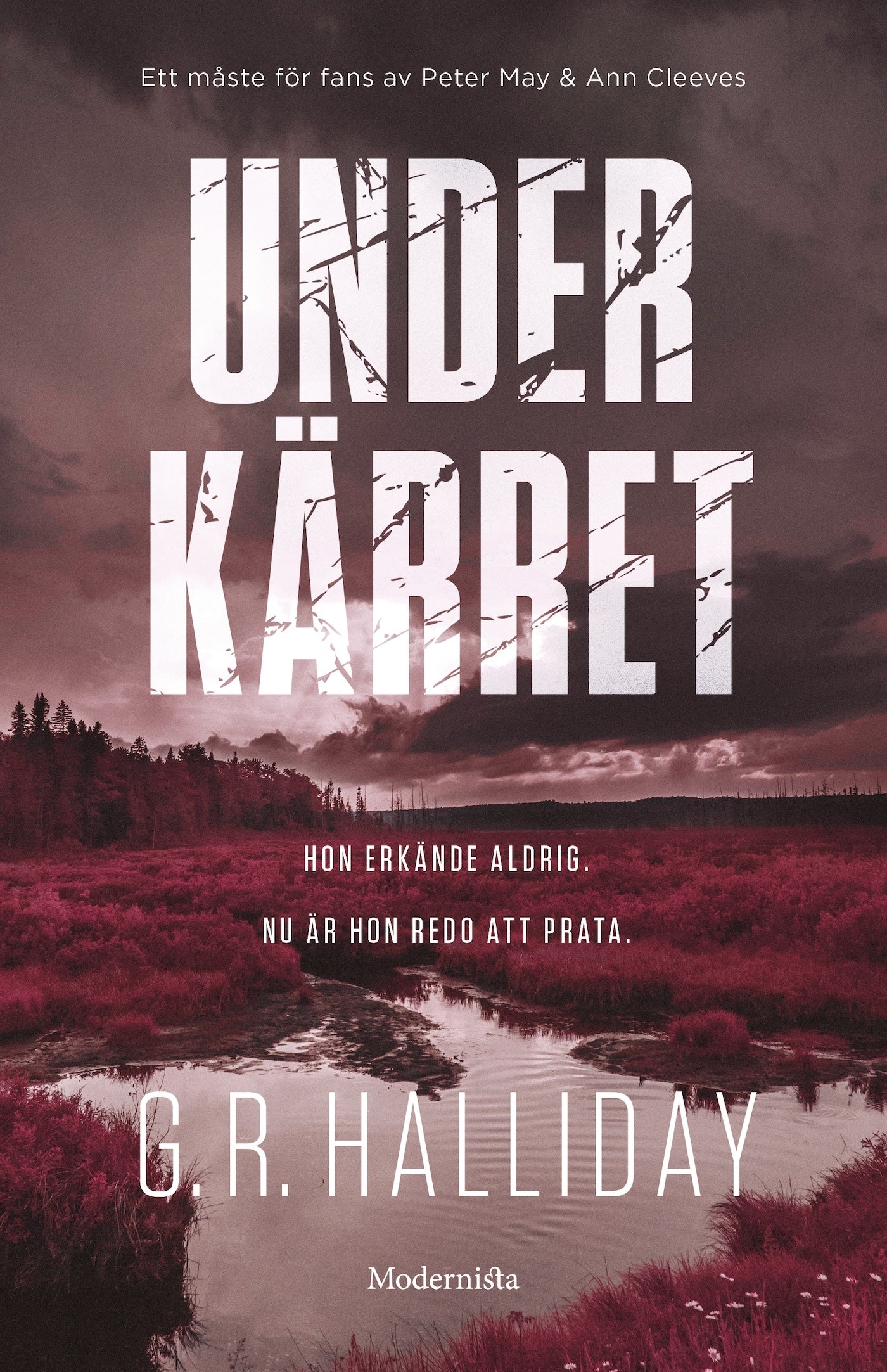 Under kärret – E-bok