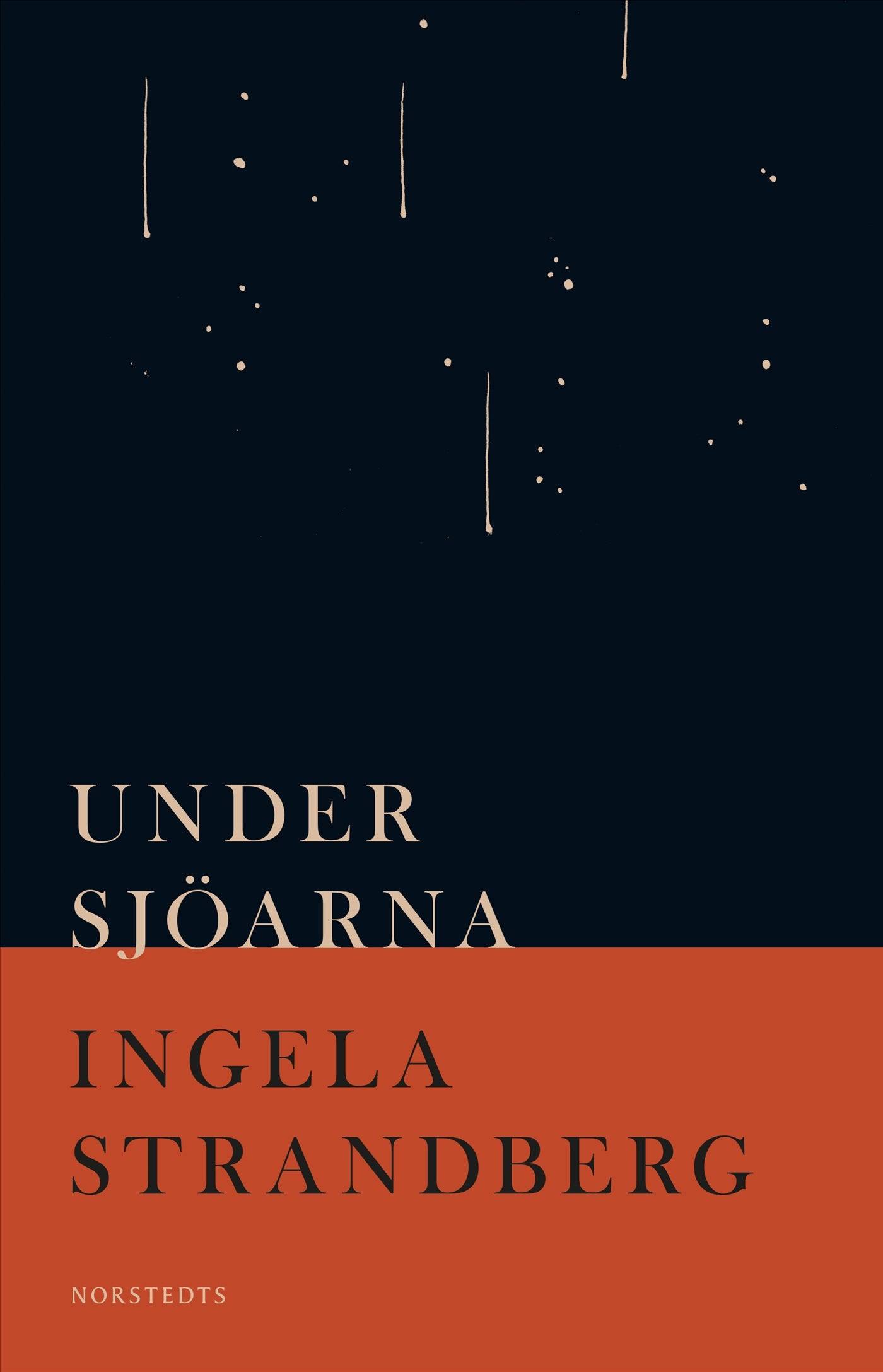 Under sjöarna – E-bok