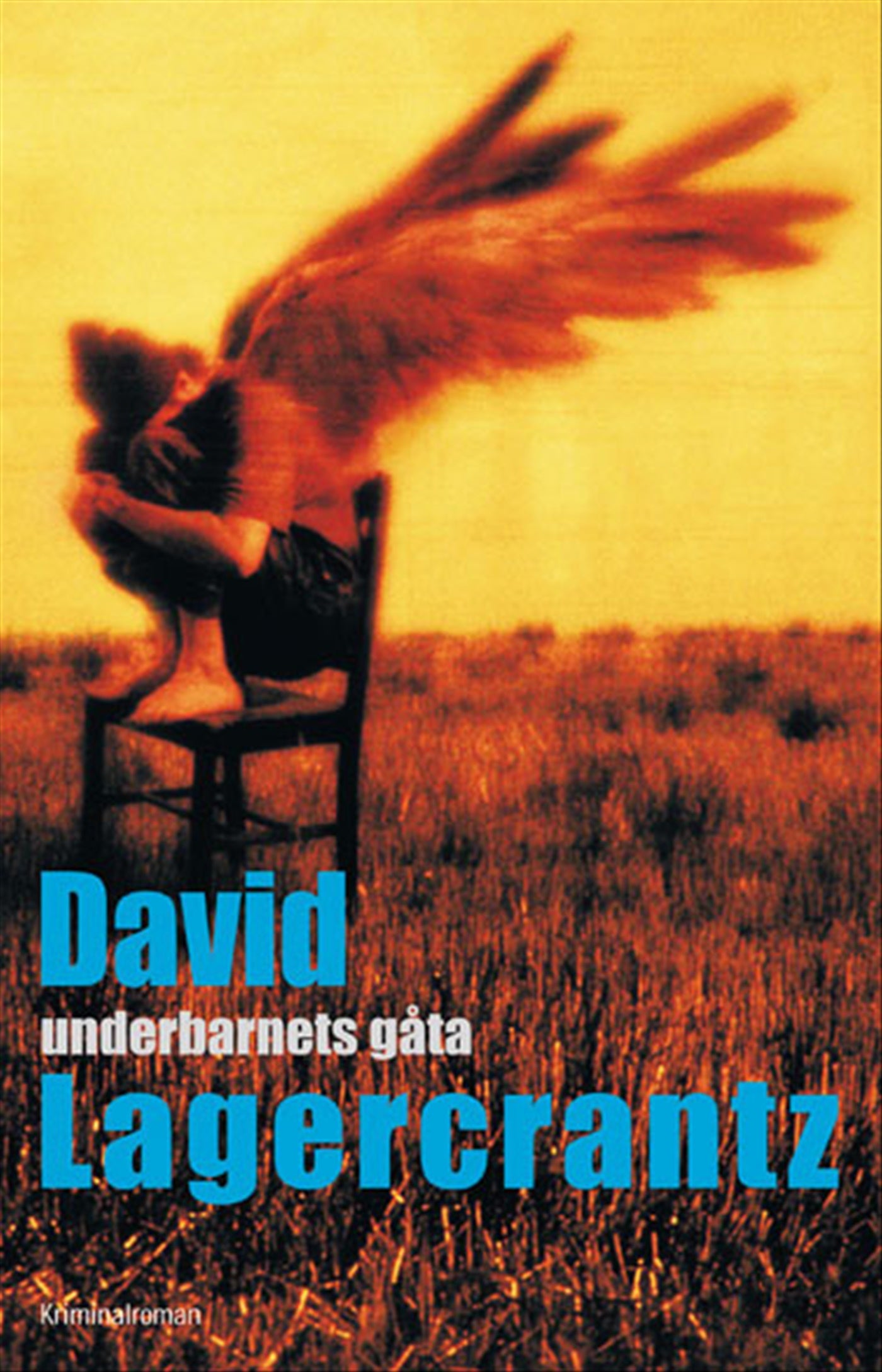 Underbarnets gåta – E-bok