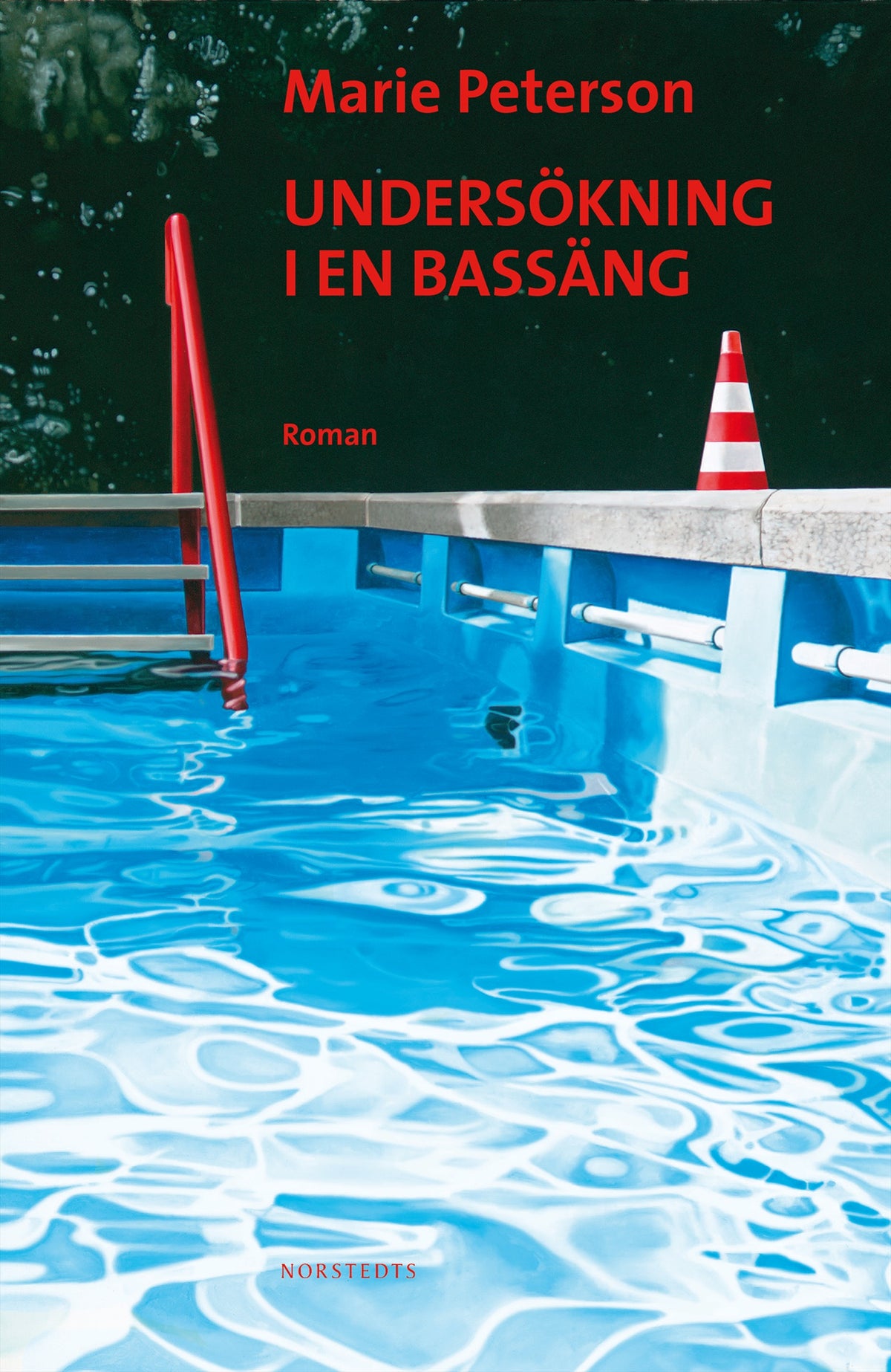Undersökning i en bassäng – E-bok