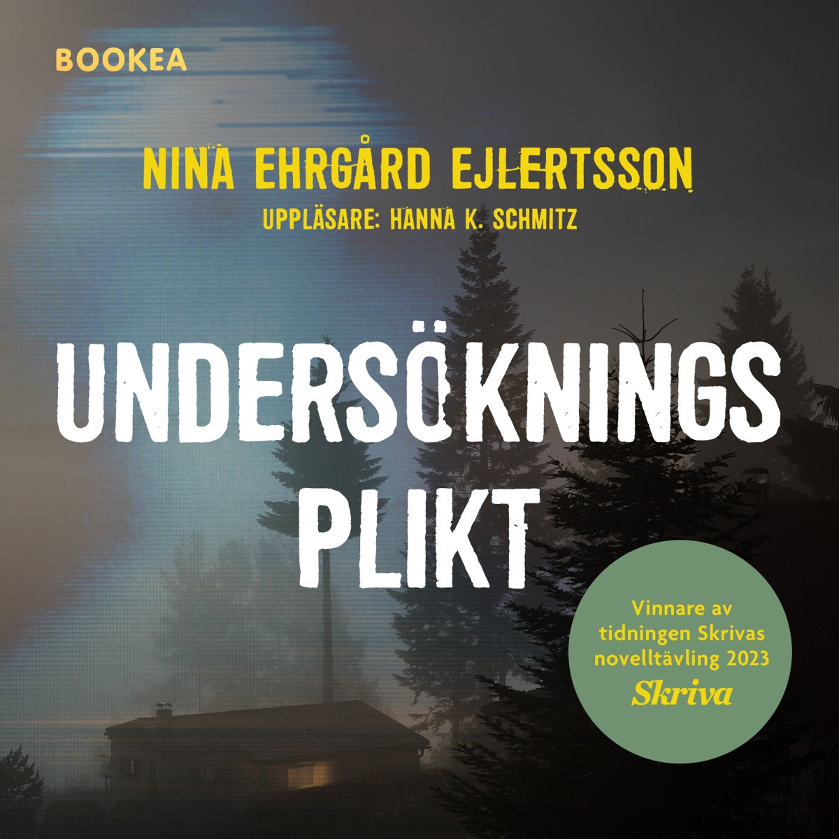 Undersökningsplikt – Ljudbok