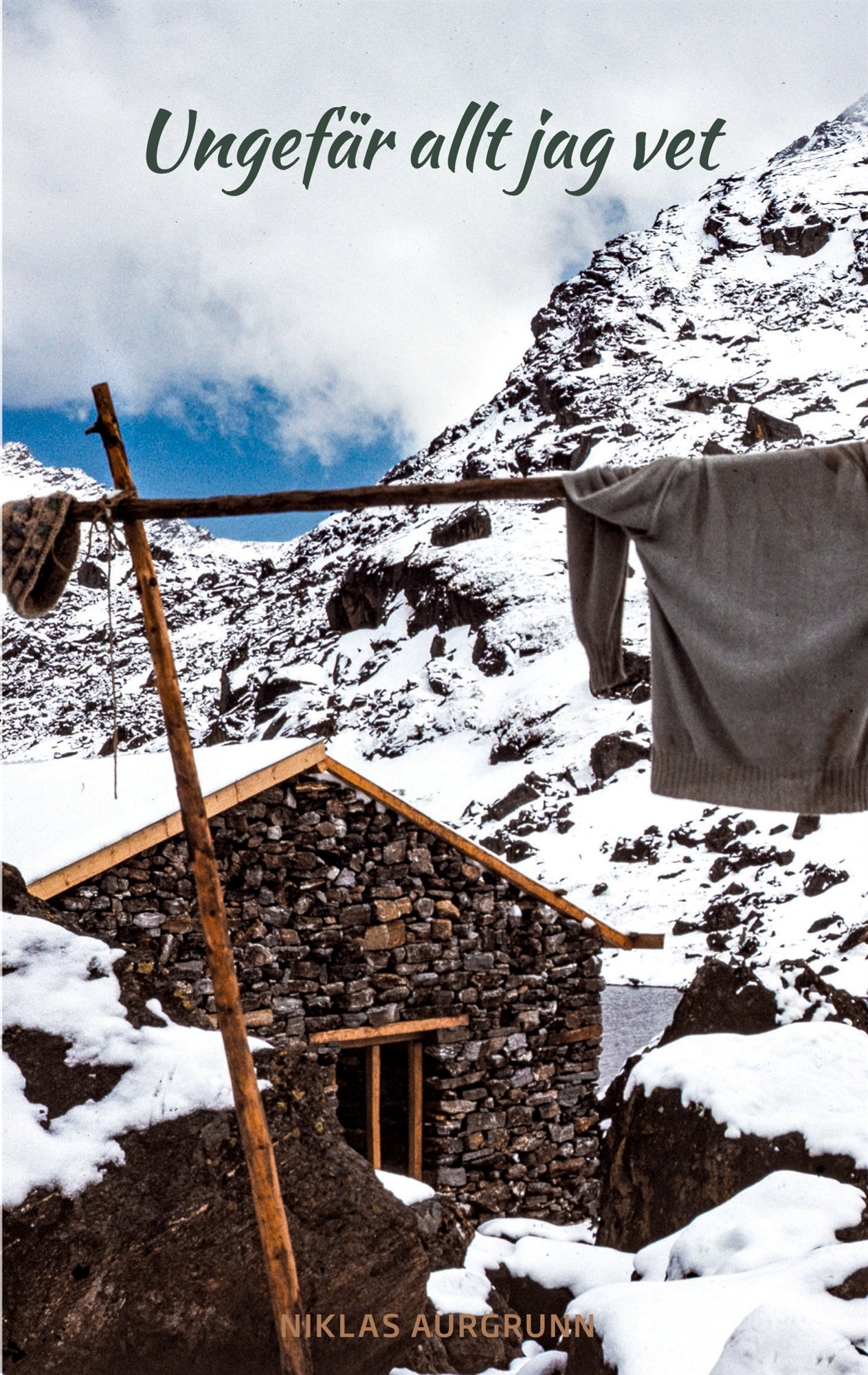Ungefär allt jag vet: -en månad i Nepal 1989 – E-bok