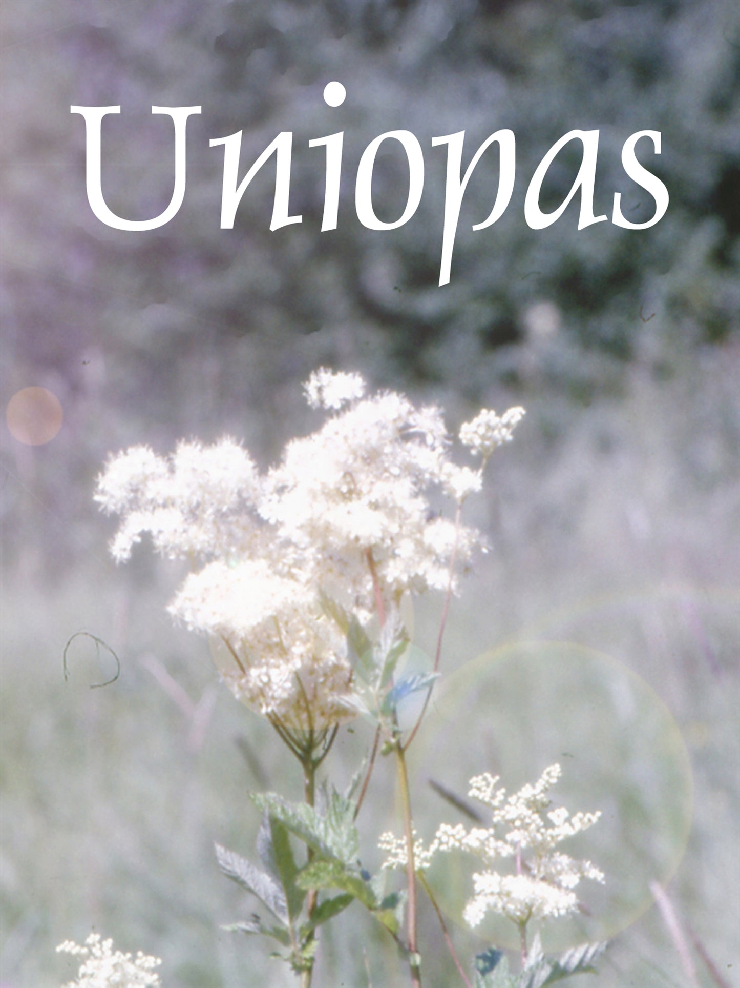 Uniopas – E-bok