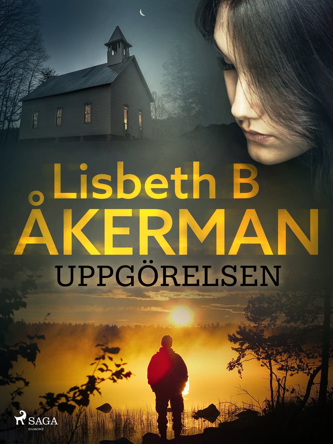 Uppgörelsen – E-bok