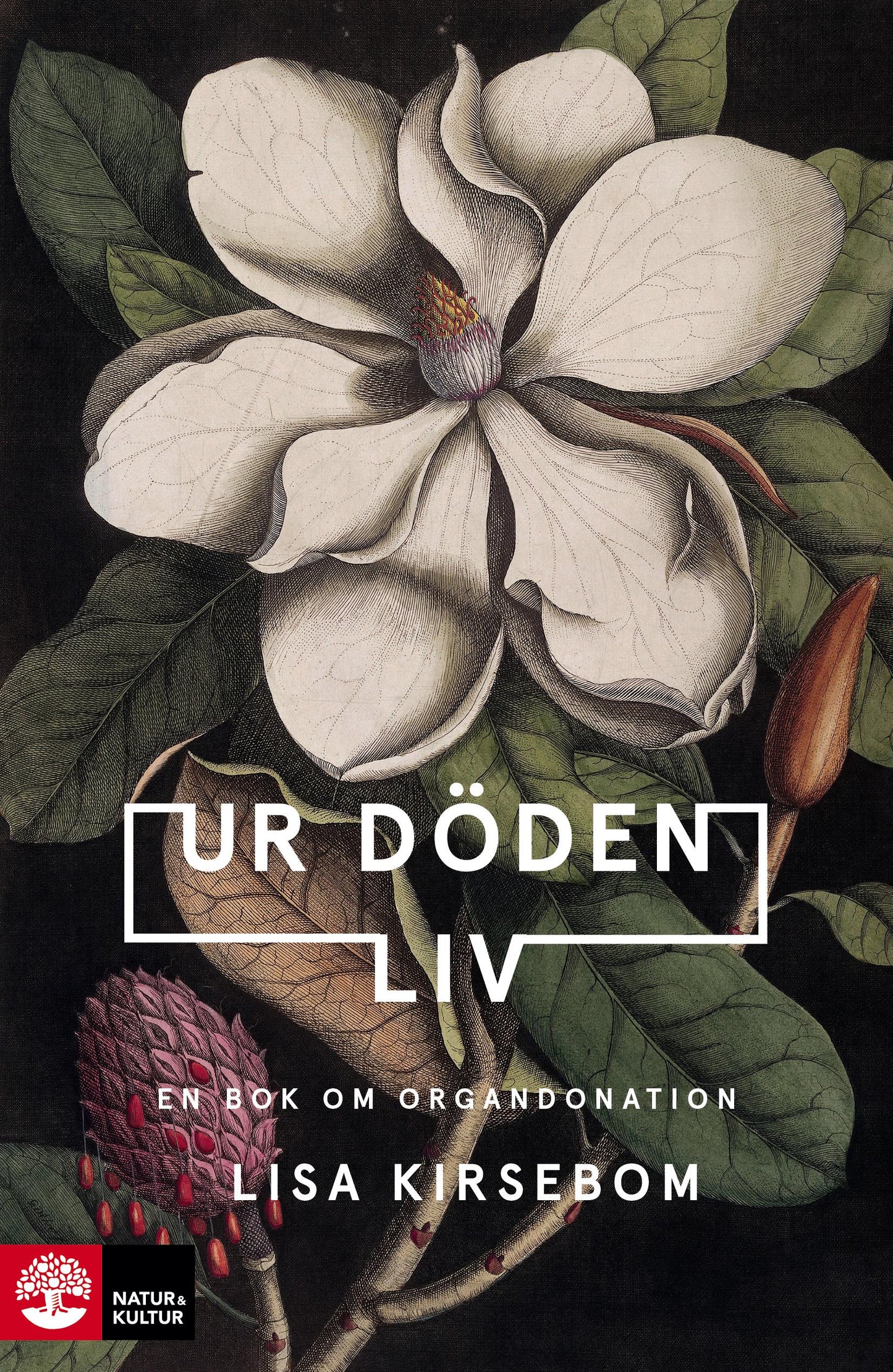 Ur döden liv : en bok om organdonation – E-bok