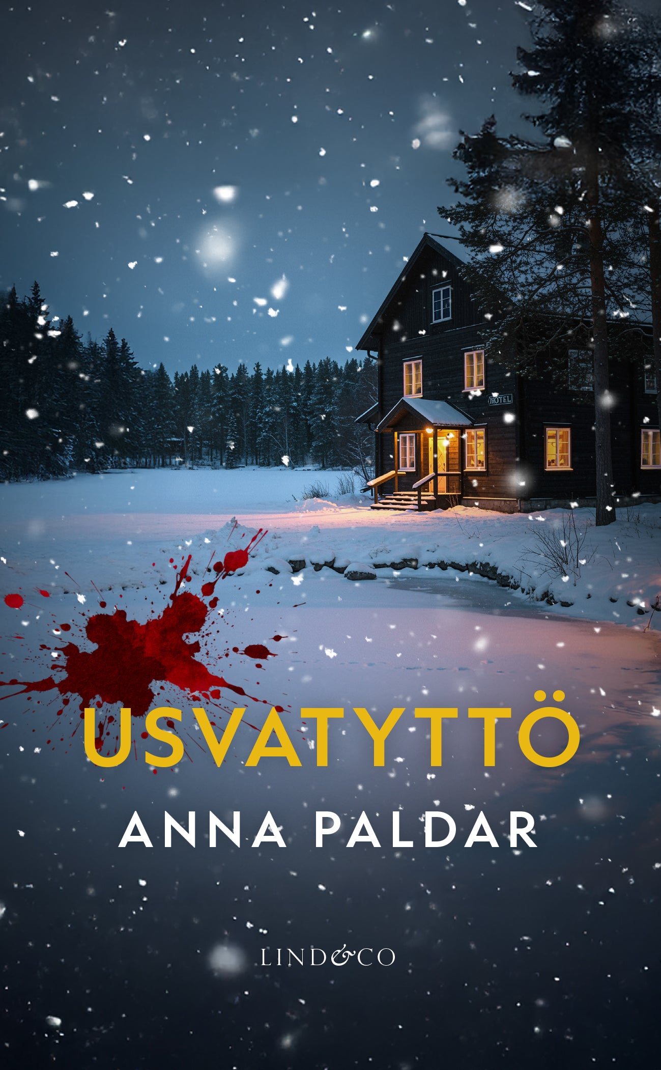 Usvatyttö – E-bok
