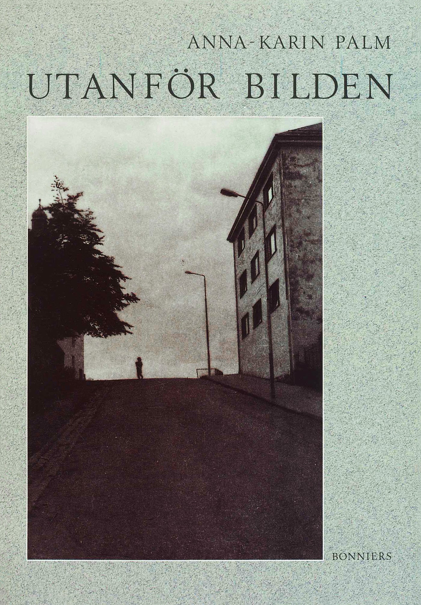 Utanför bilden – E-bok