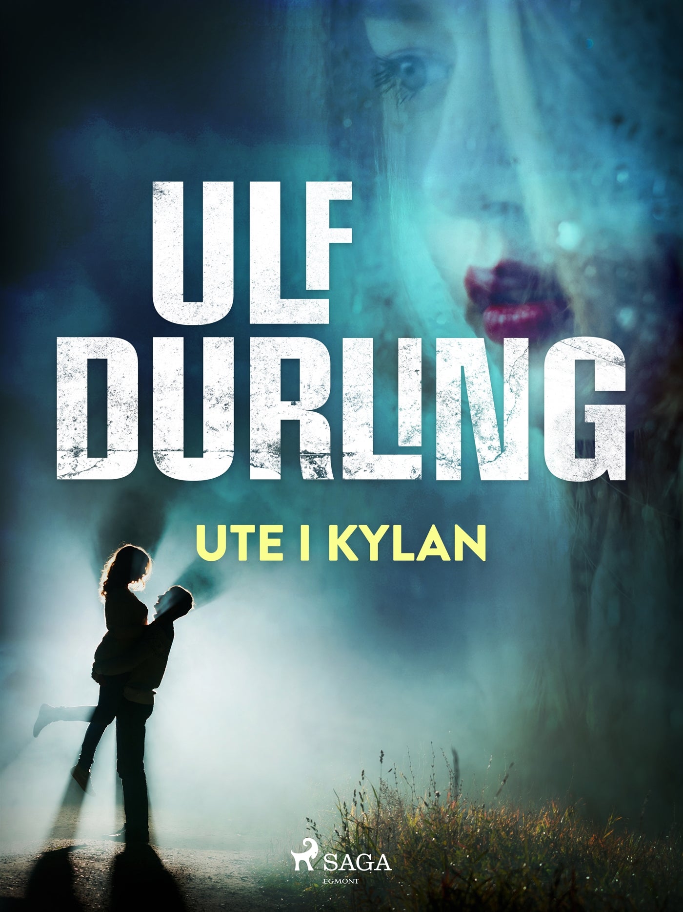Ute i kylan – E-bok