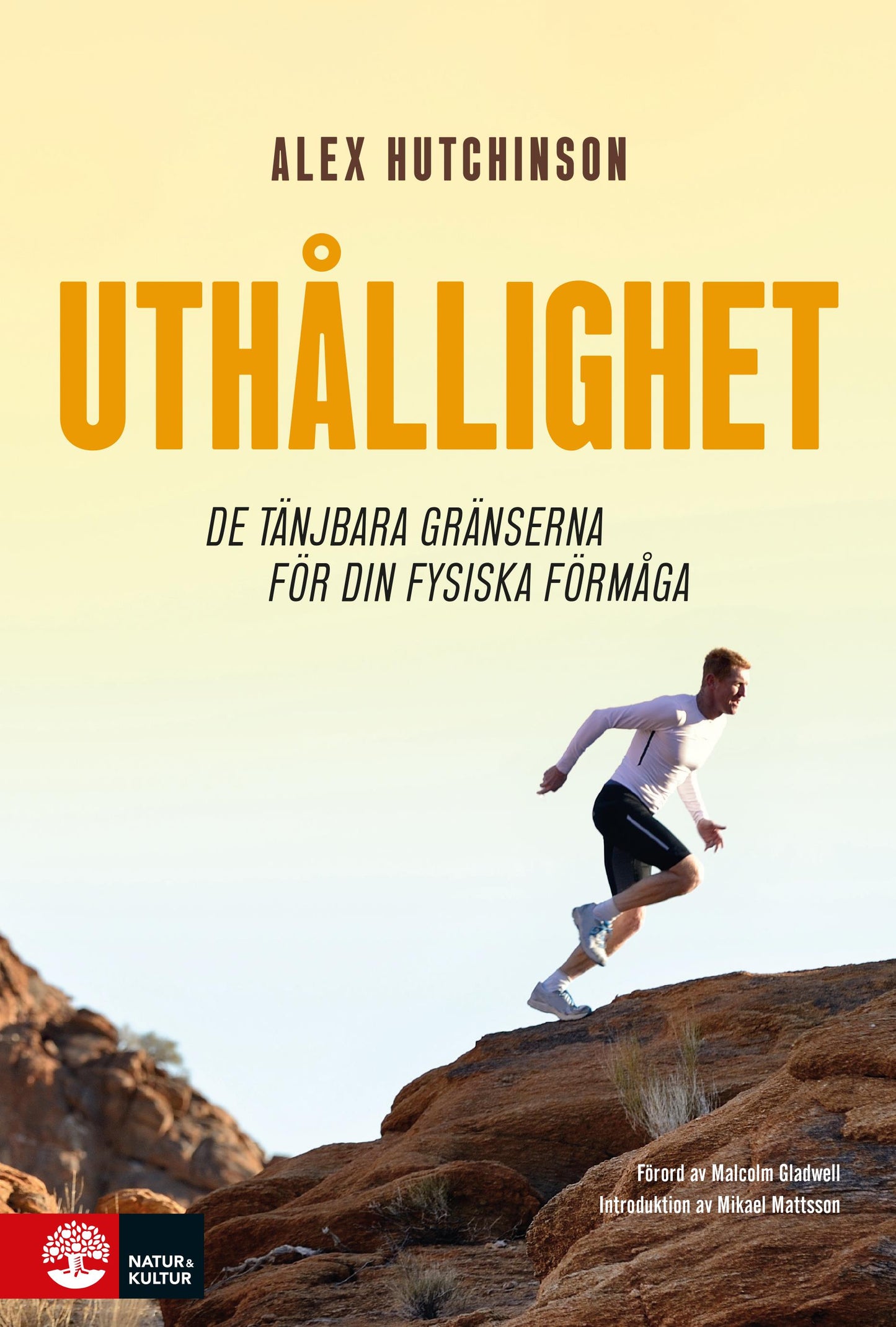 Uthållighet : de tänjbara gränserna för din fysiska förmåga – E-bok