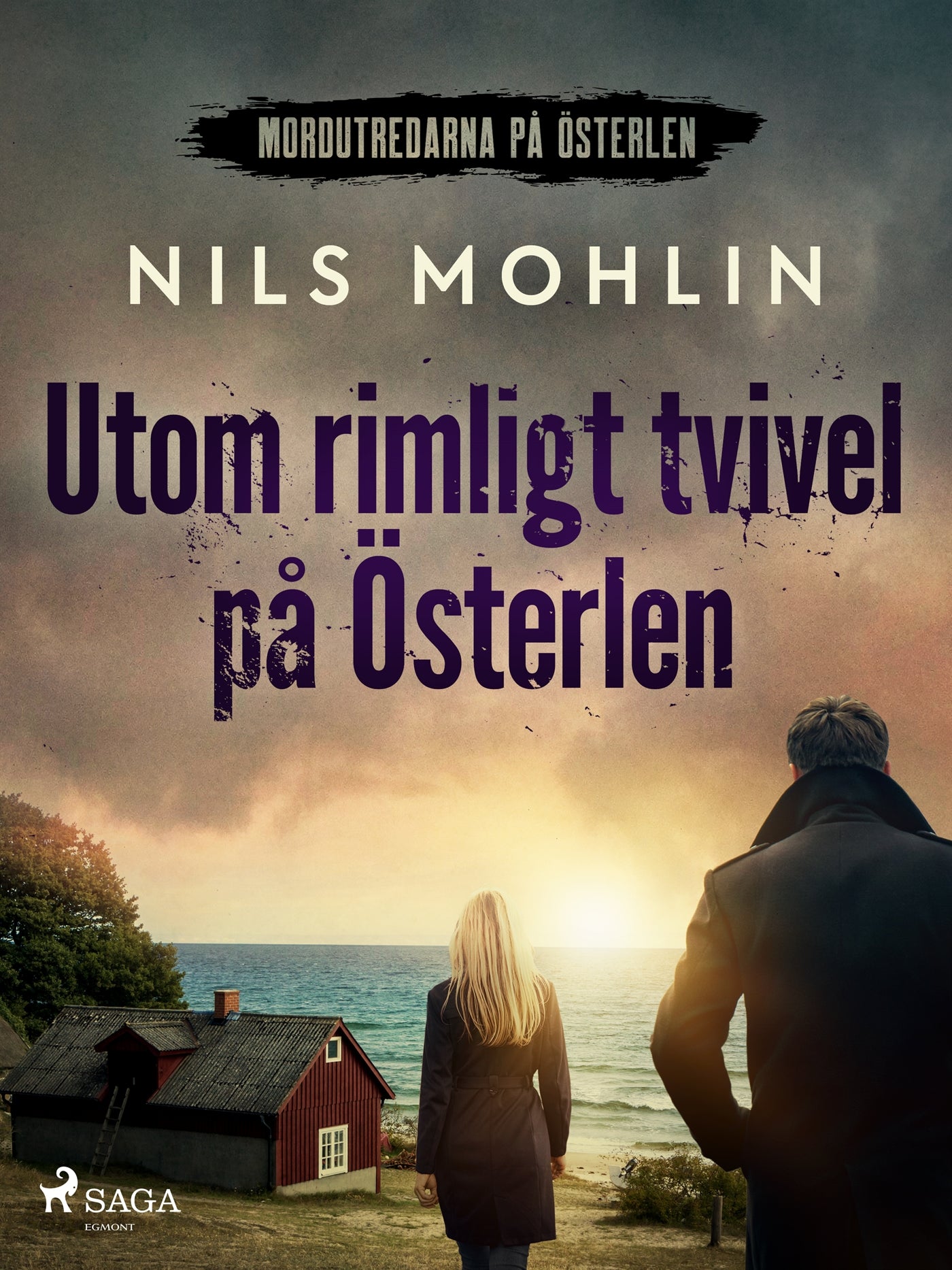 Utom rimligt tvivel på Österlen – E-bok