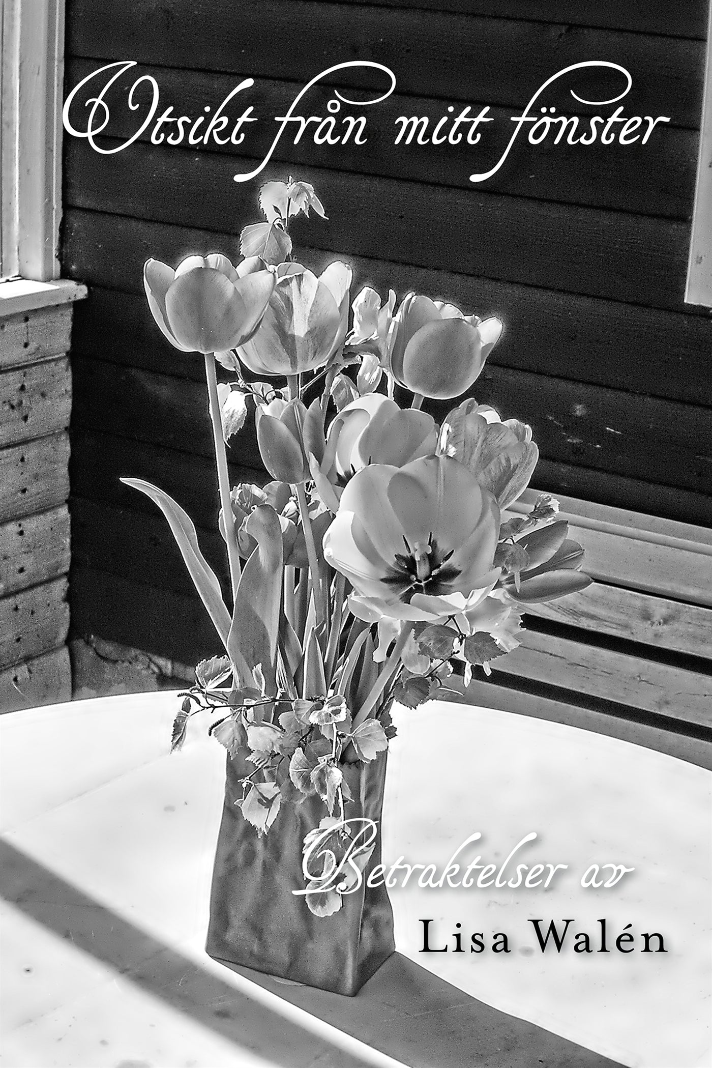 Utsikt från mitt fönster – E-bok