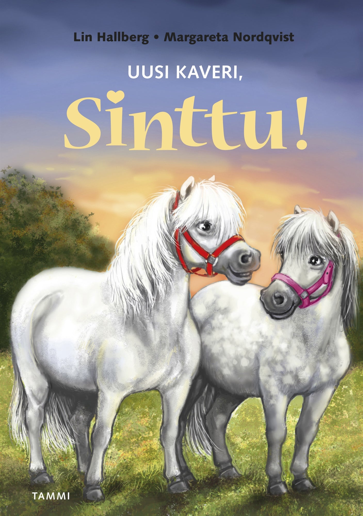 Uusi kaveri, Sinttu! – E-bok