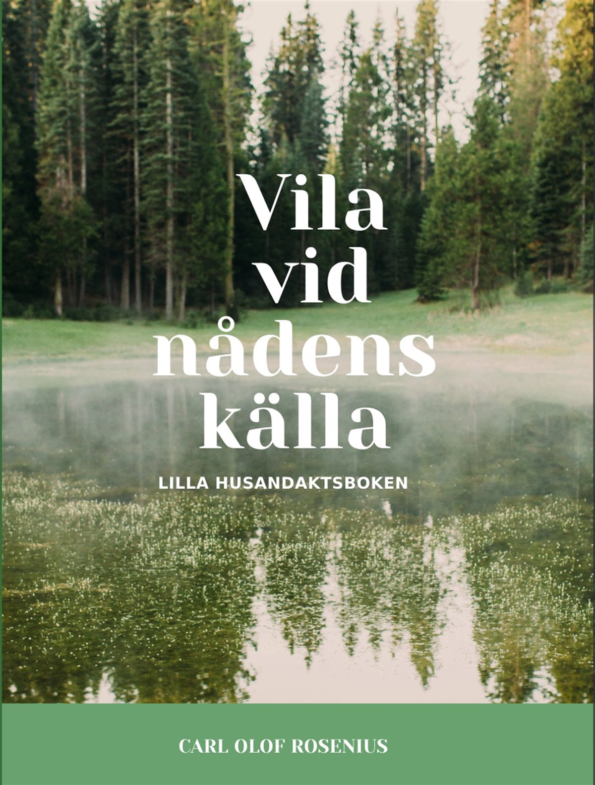 VILA VID NÅDENS KÄLLA – E-bok