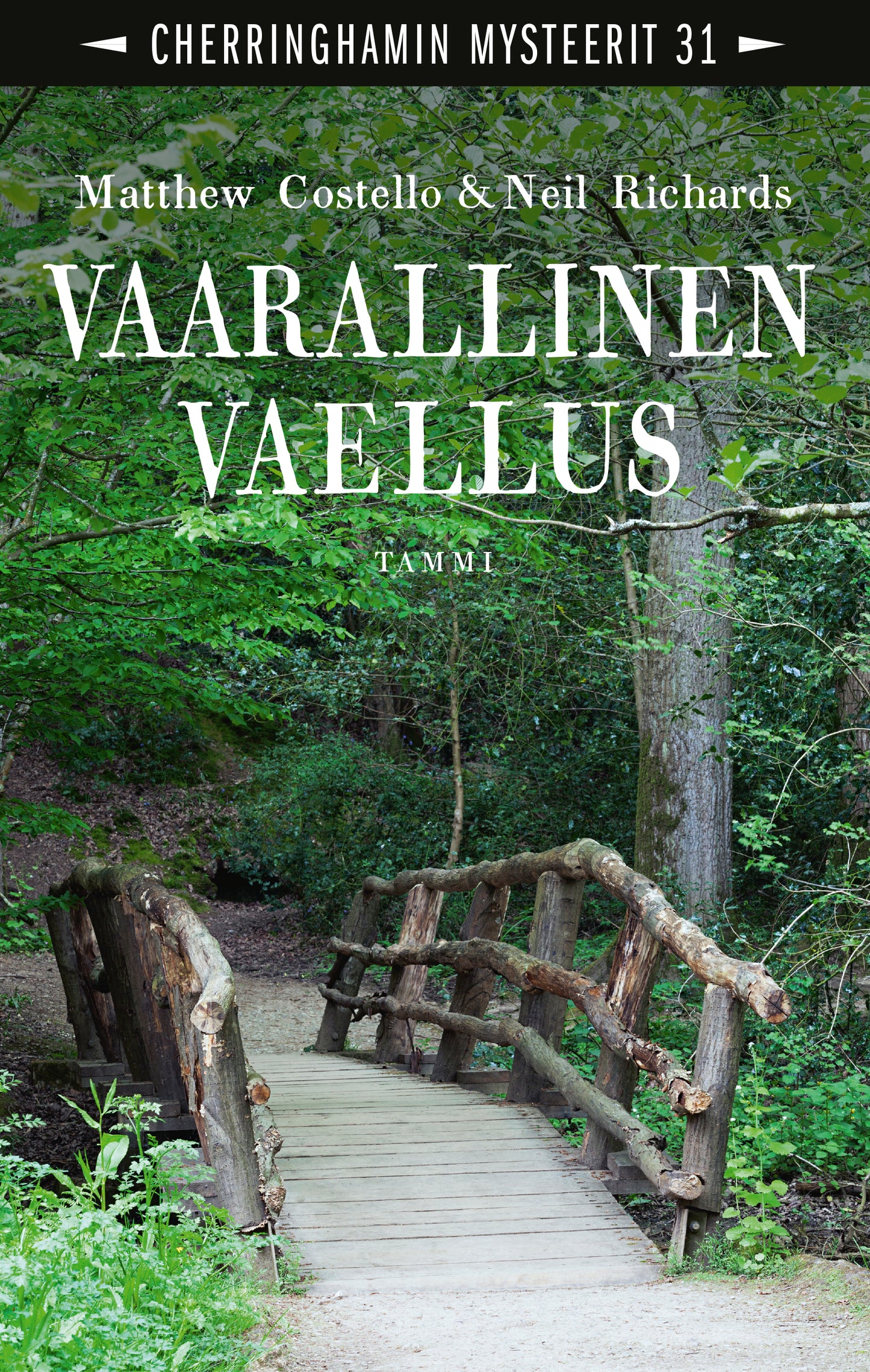 Vaarallinen vaellus – E-bok