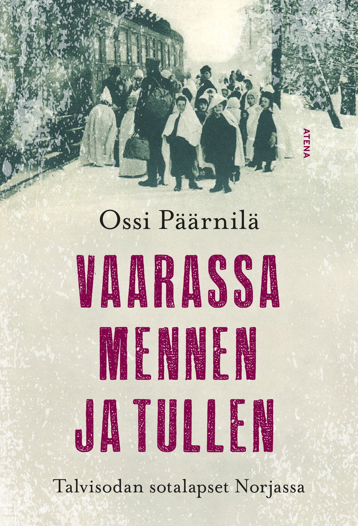 Vaarassa mennen ja tullen – E-bok