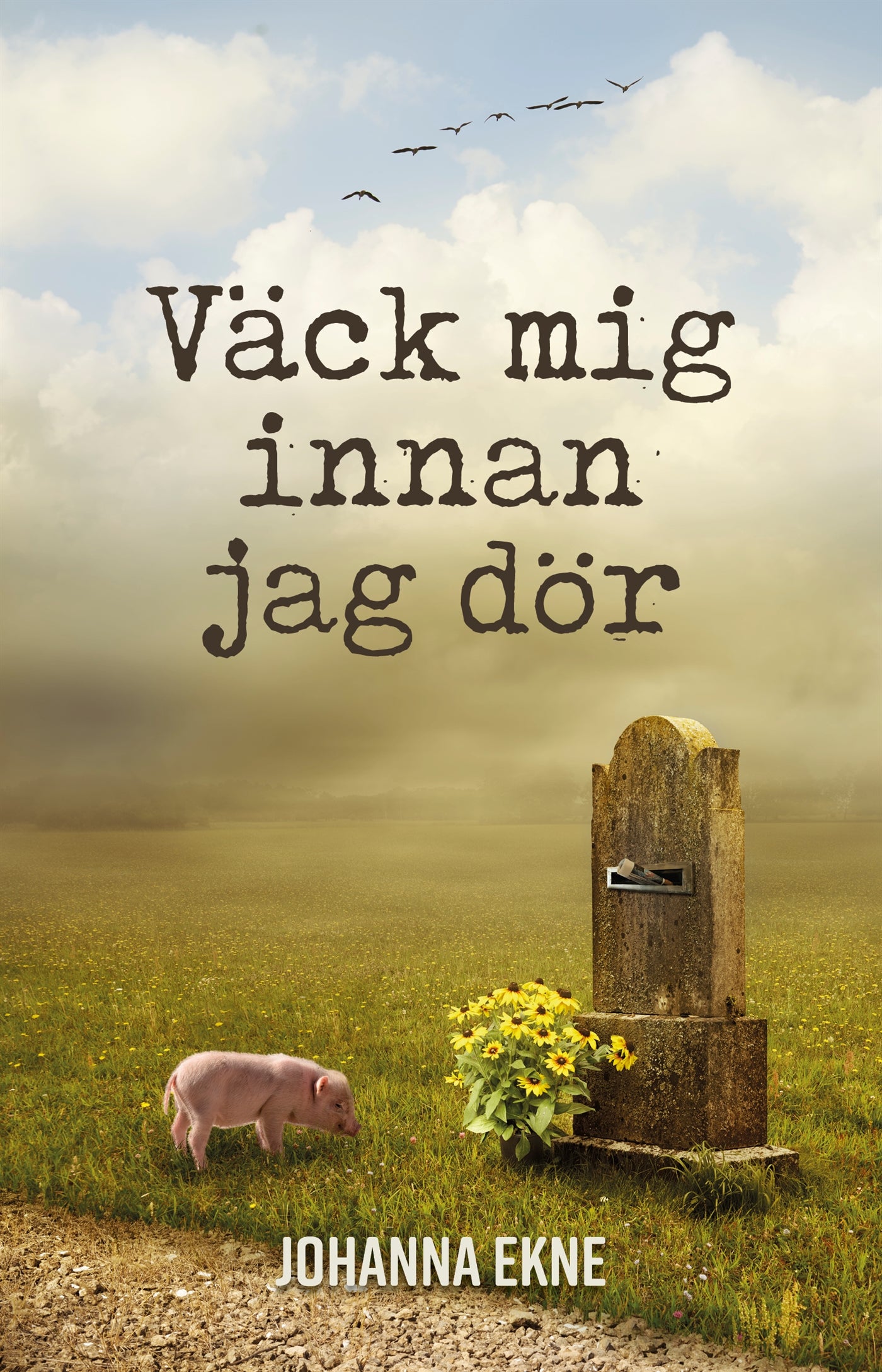 Väck mig innan jag dör – E-bok