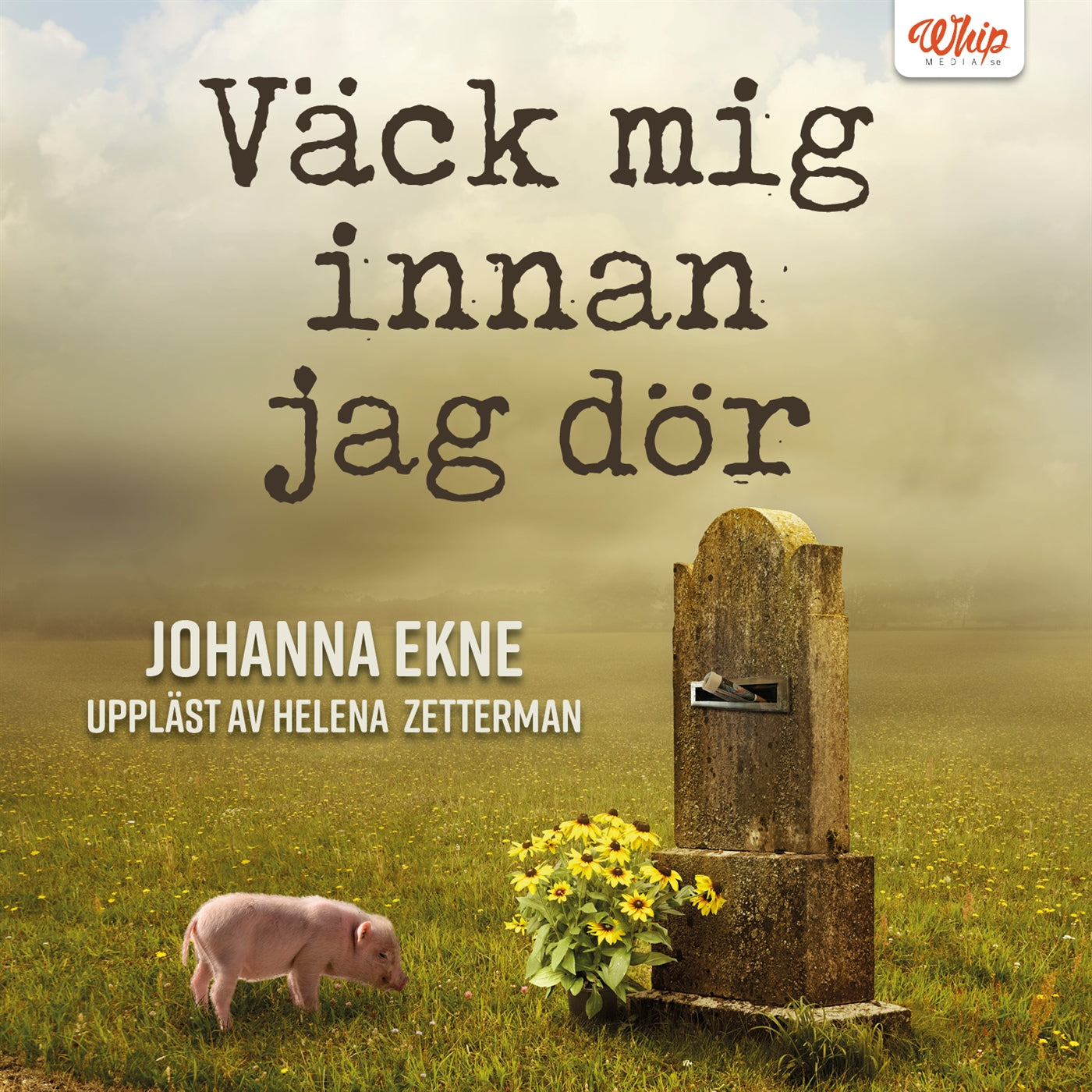 Väck mig innan jag dör – Ljudbok