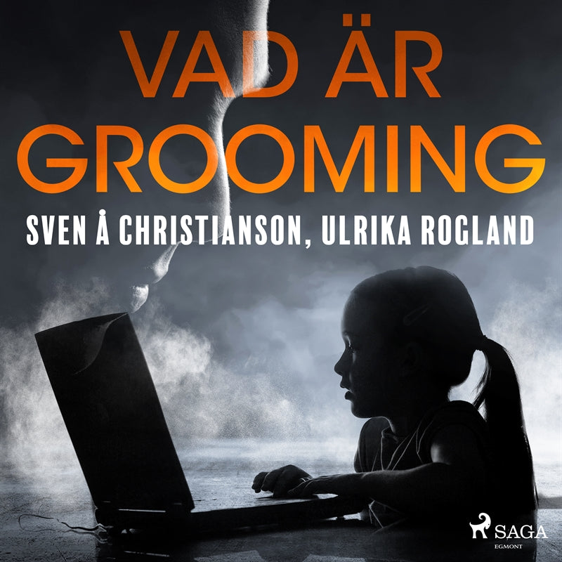 Vad är grooming – Ljudbok