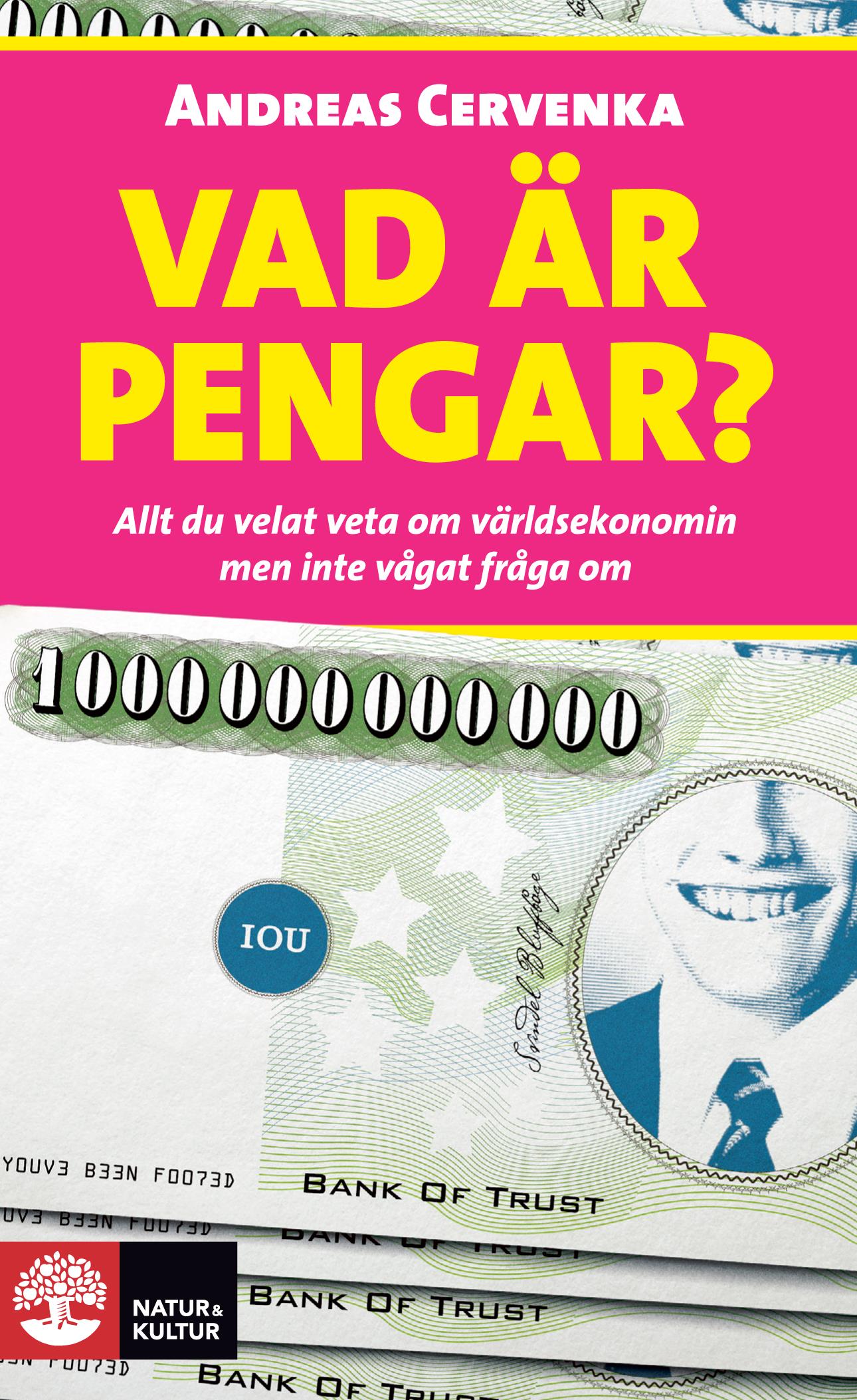 Vad är pengar? : allt du velat veta om världsekonomin men inte vågat fråga om – E-bok