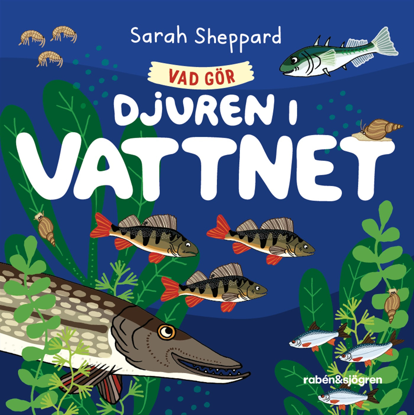 Vad gör djuren i vattnet? – E-bok