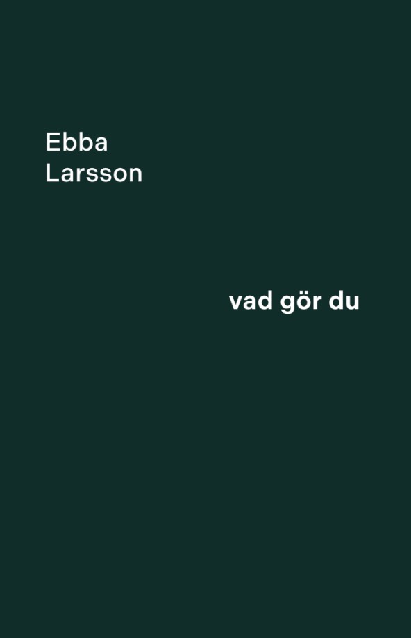 Vad gör du – E-bok