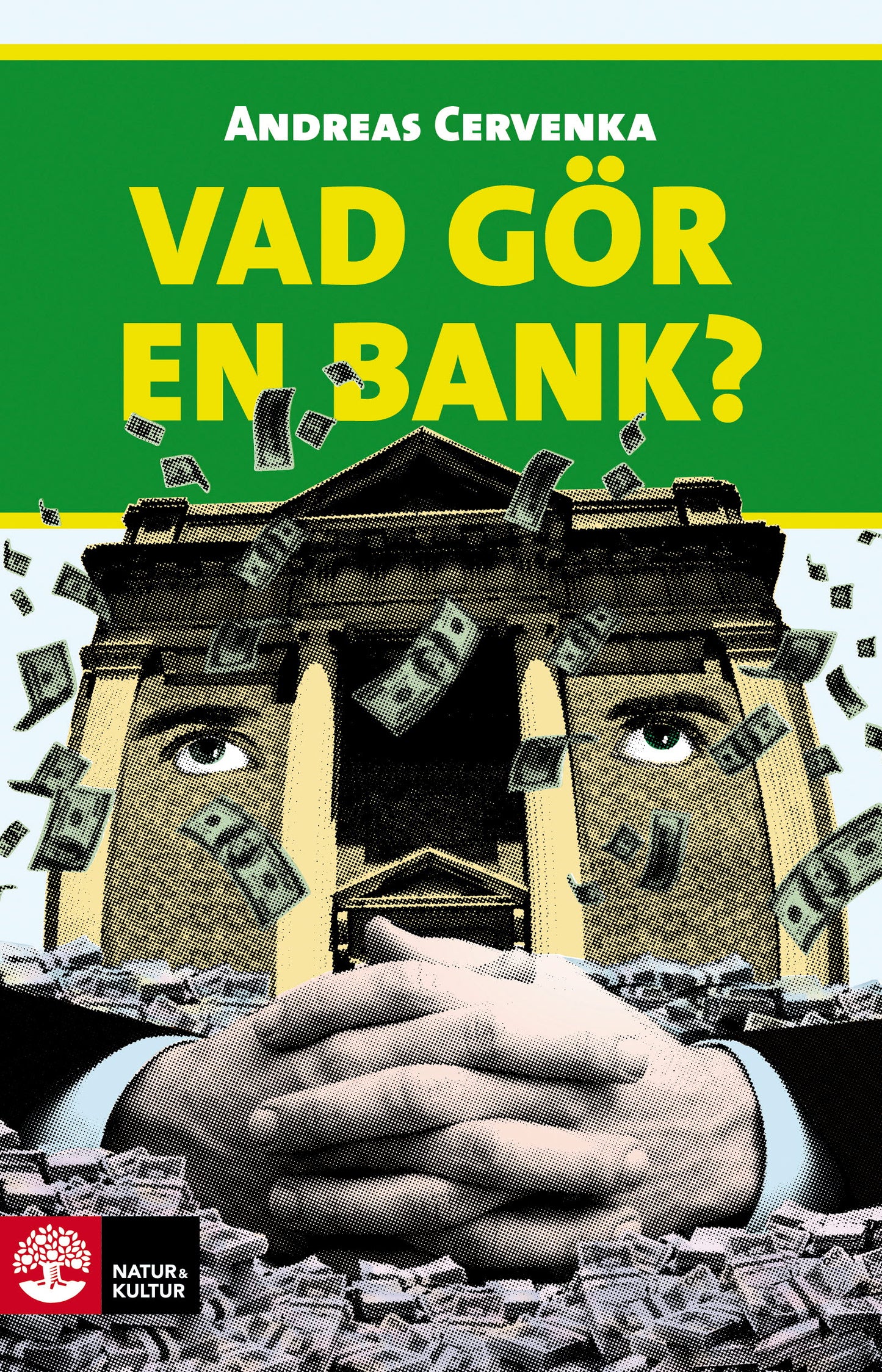 Vad gör en bank? – E-bok