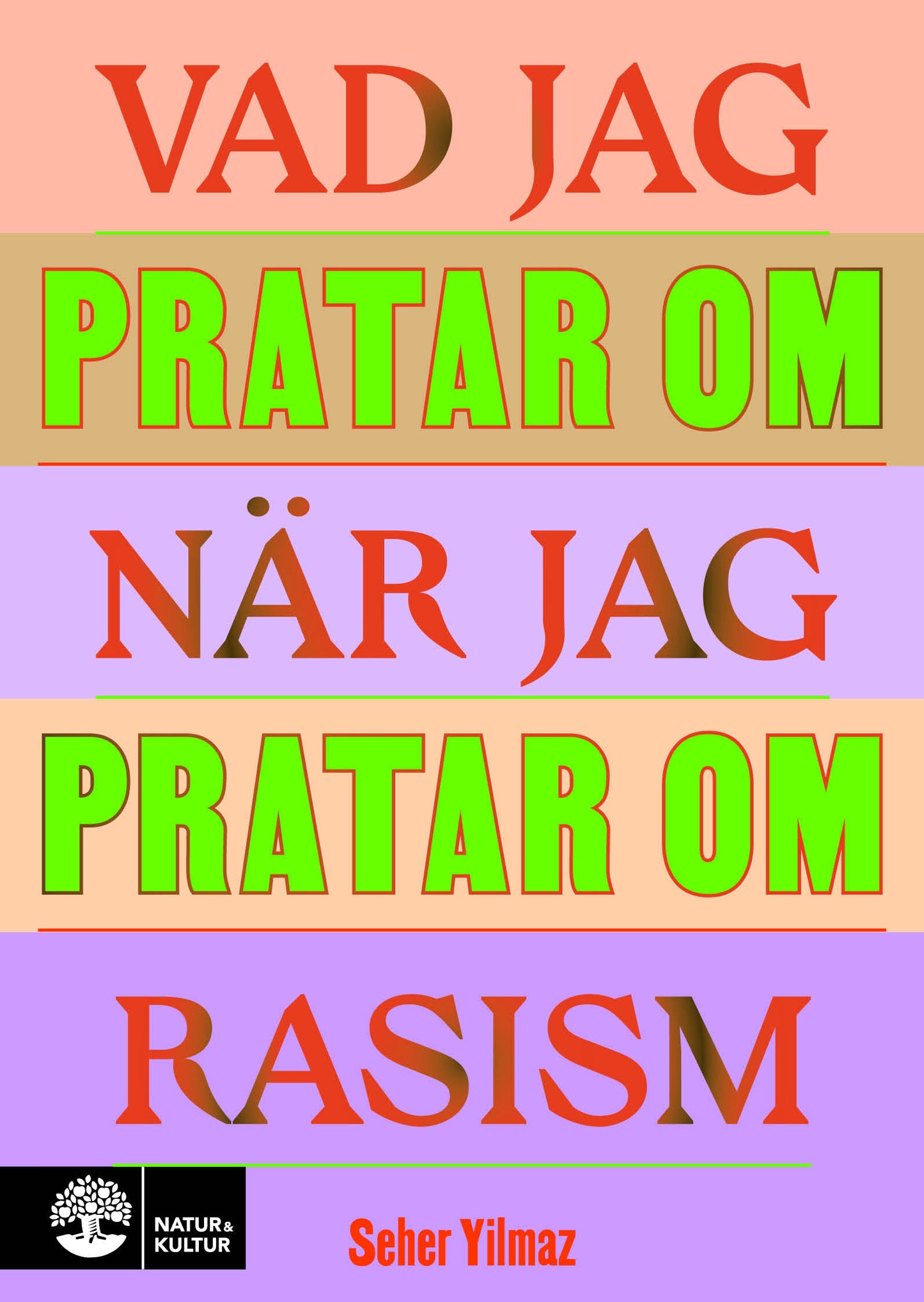 Vad jag pratar om när jag pratar om rasism – E-bok