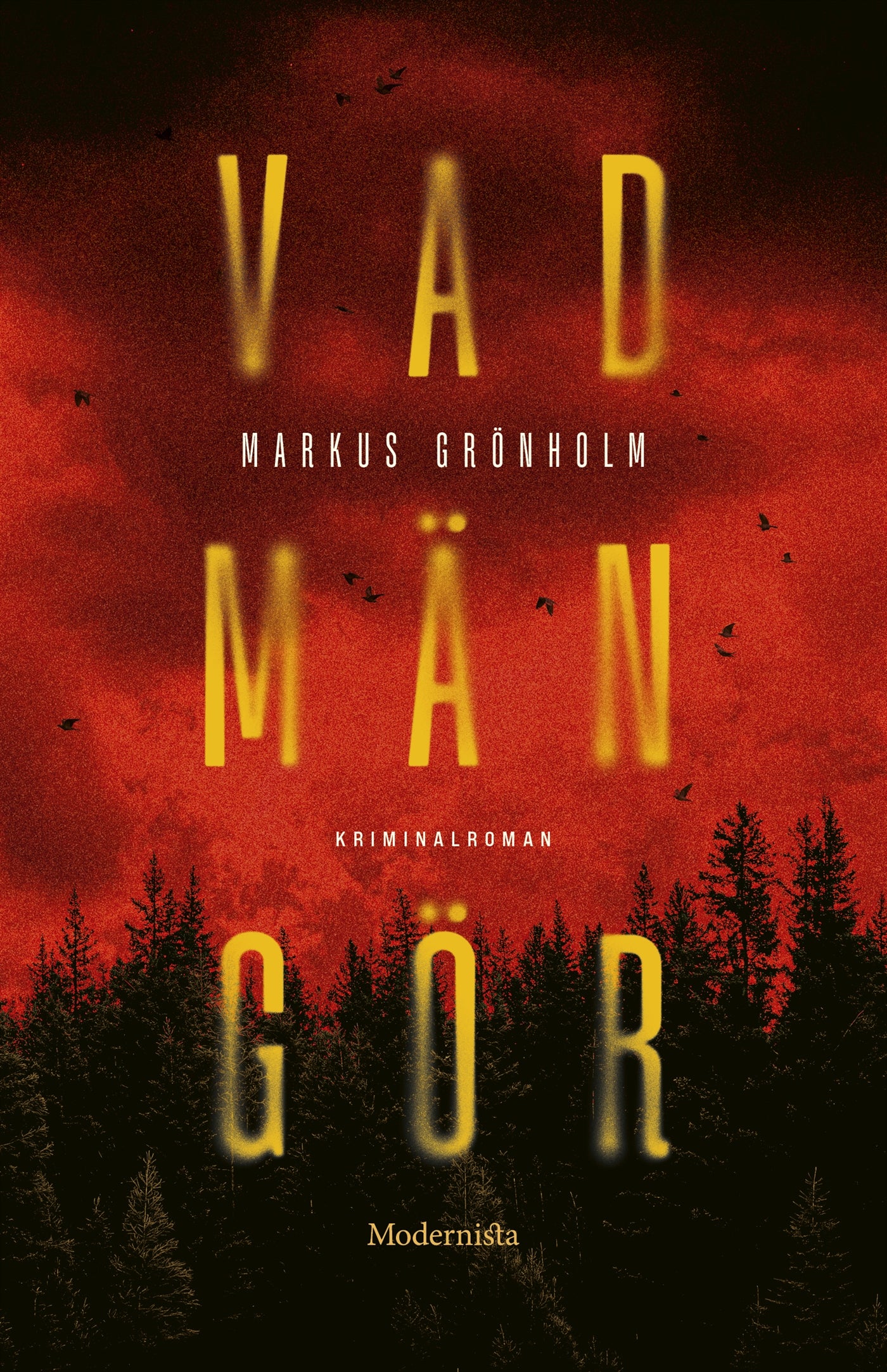 Vad män gör – E-bok