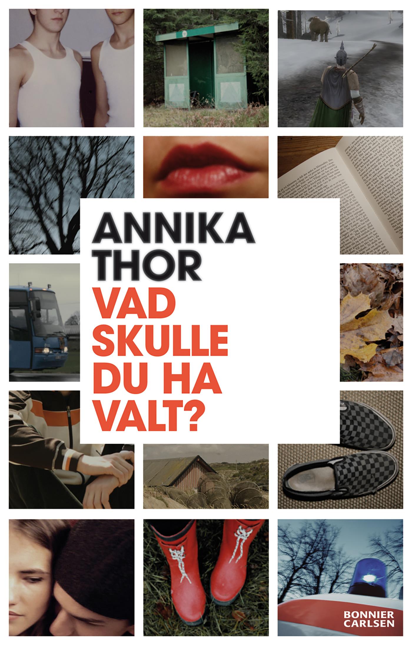 Vad skulle du ha valt? – E-bok
