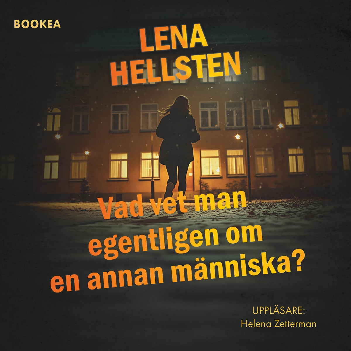 Vad vet man egentligen om en annan människa – Ljudbok