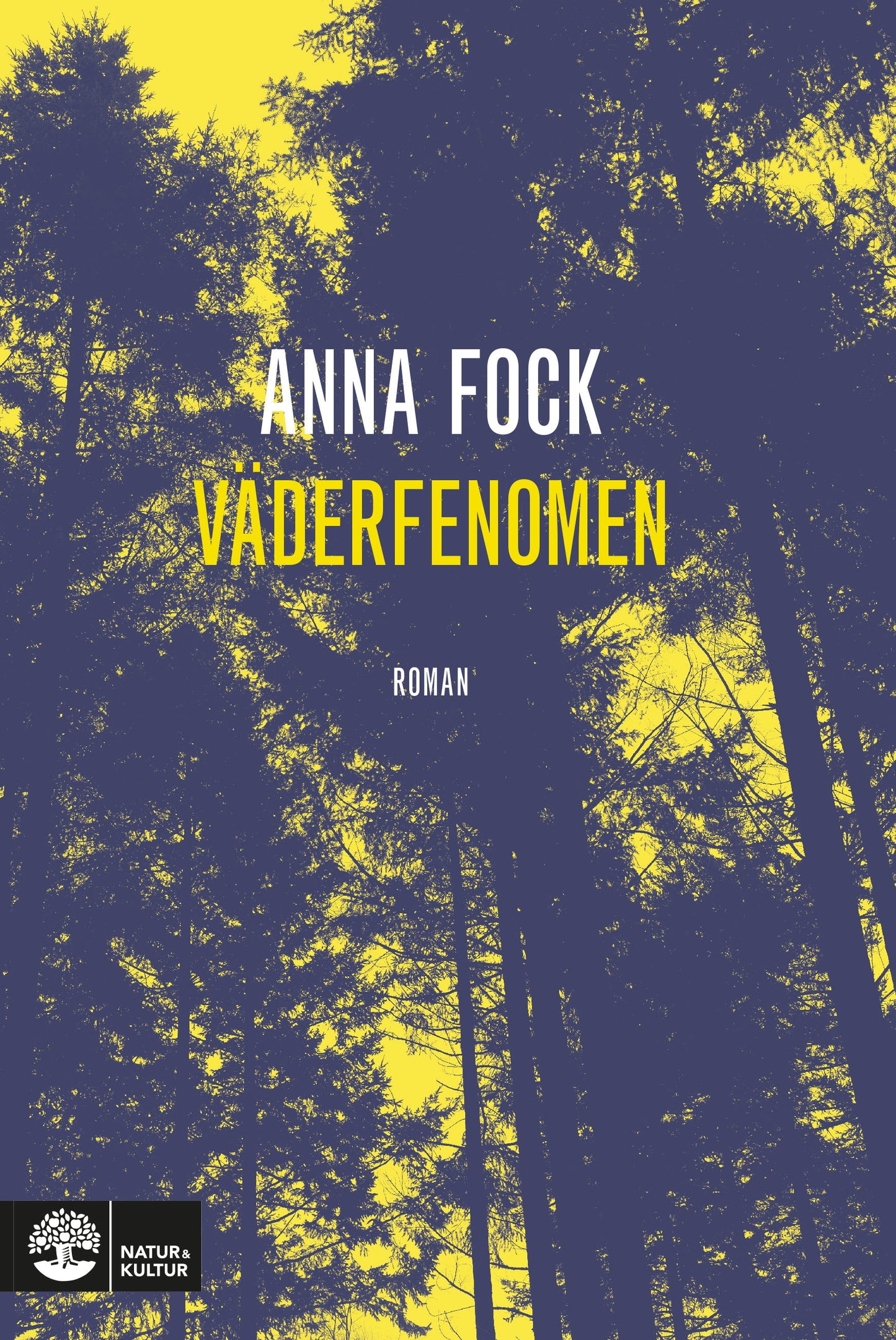 Väderfenomen – E-bok