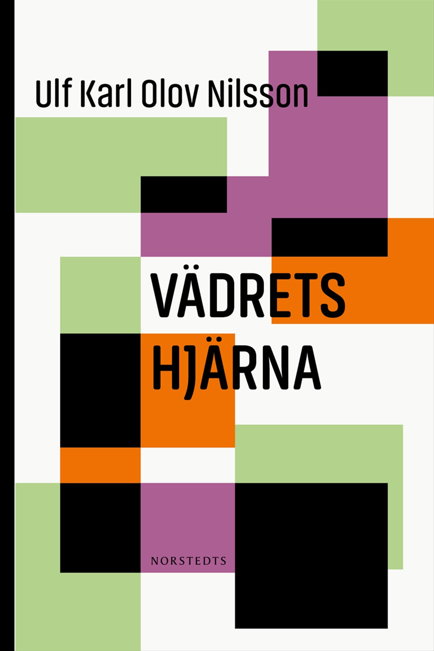 Vädrets hjärna – E-bok