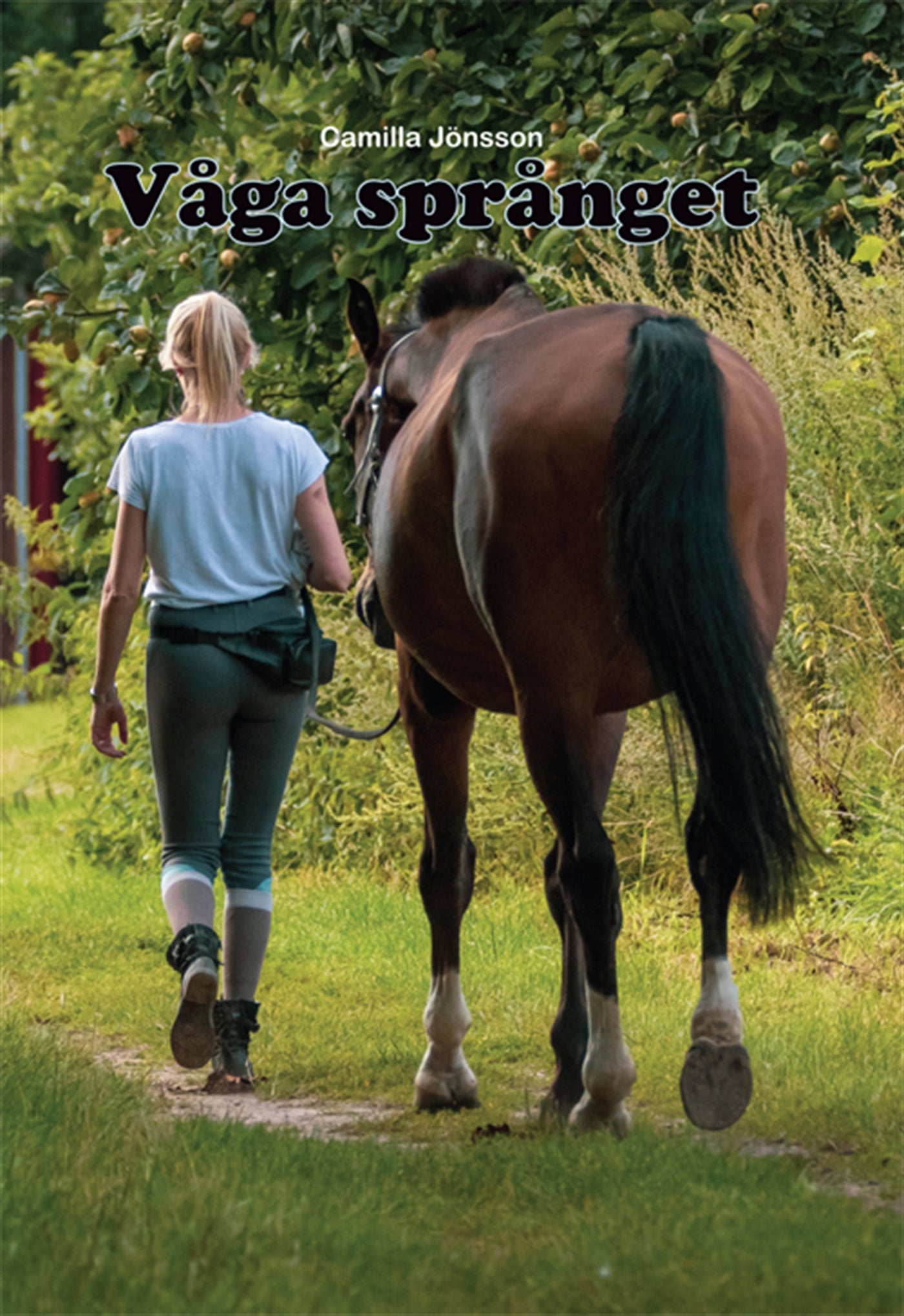 Våga språnget – E-bok