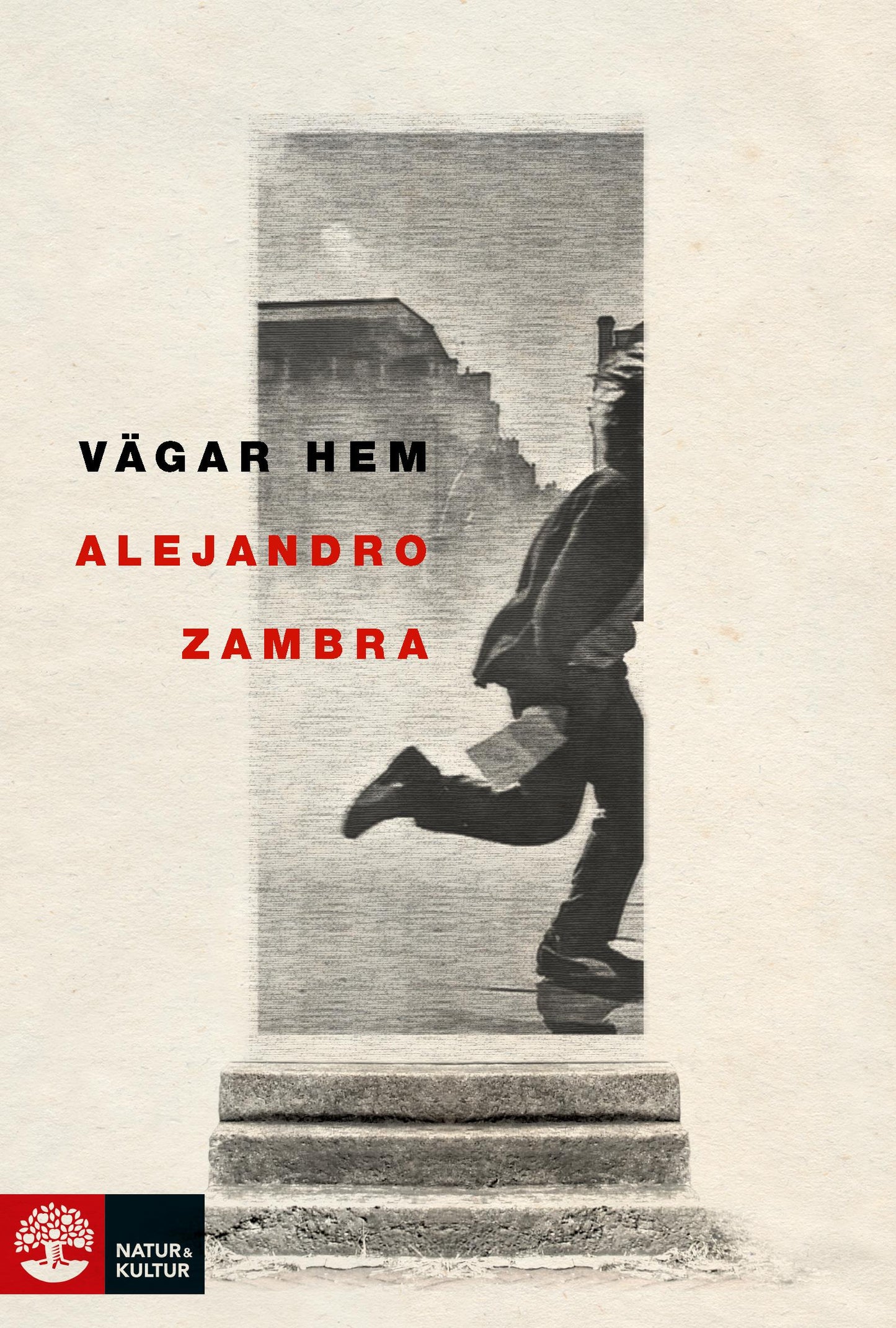 Vägar hem – E-bok