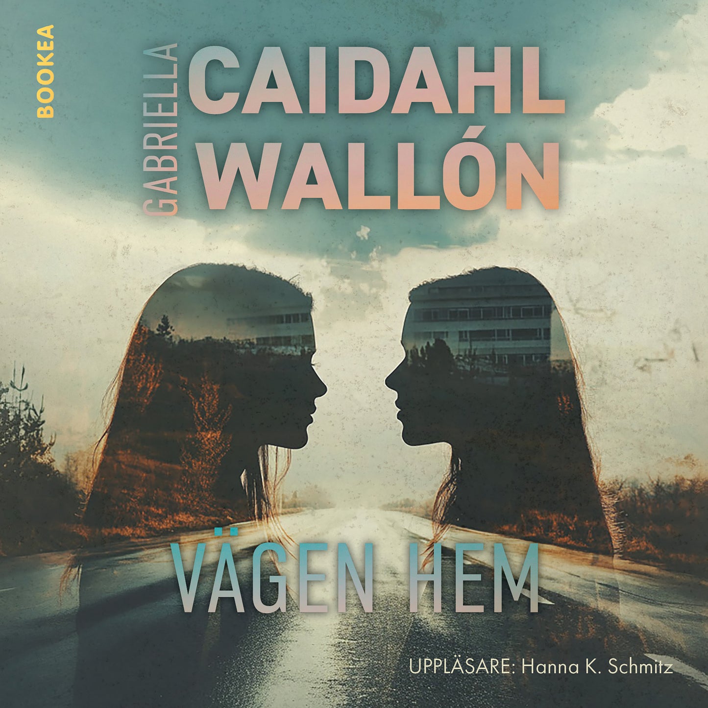 Vägen hem – Ljudbok