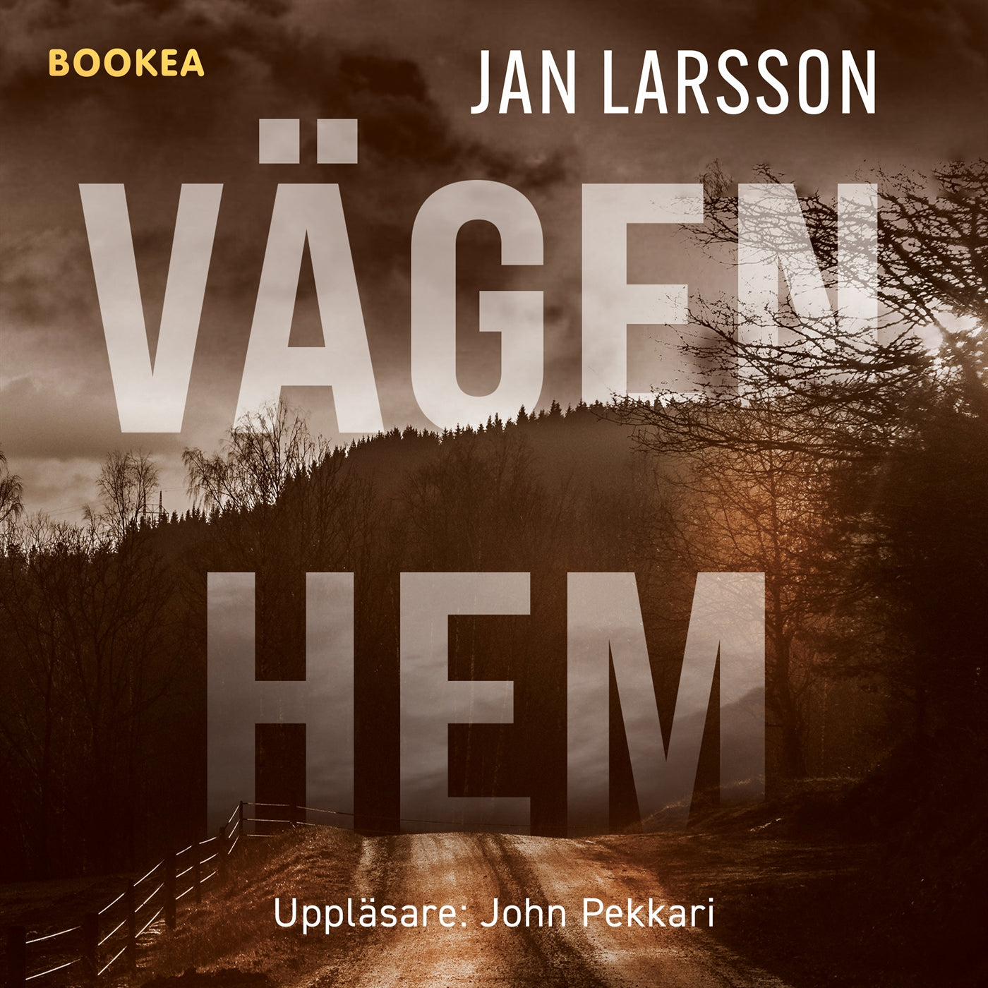 Vägen hem – Ljudbok