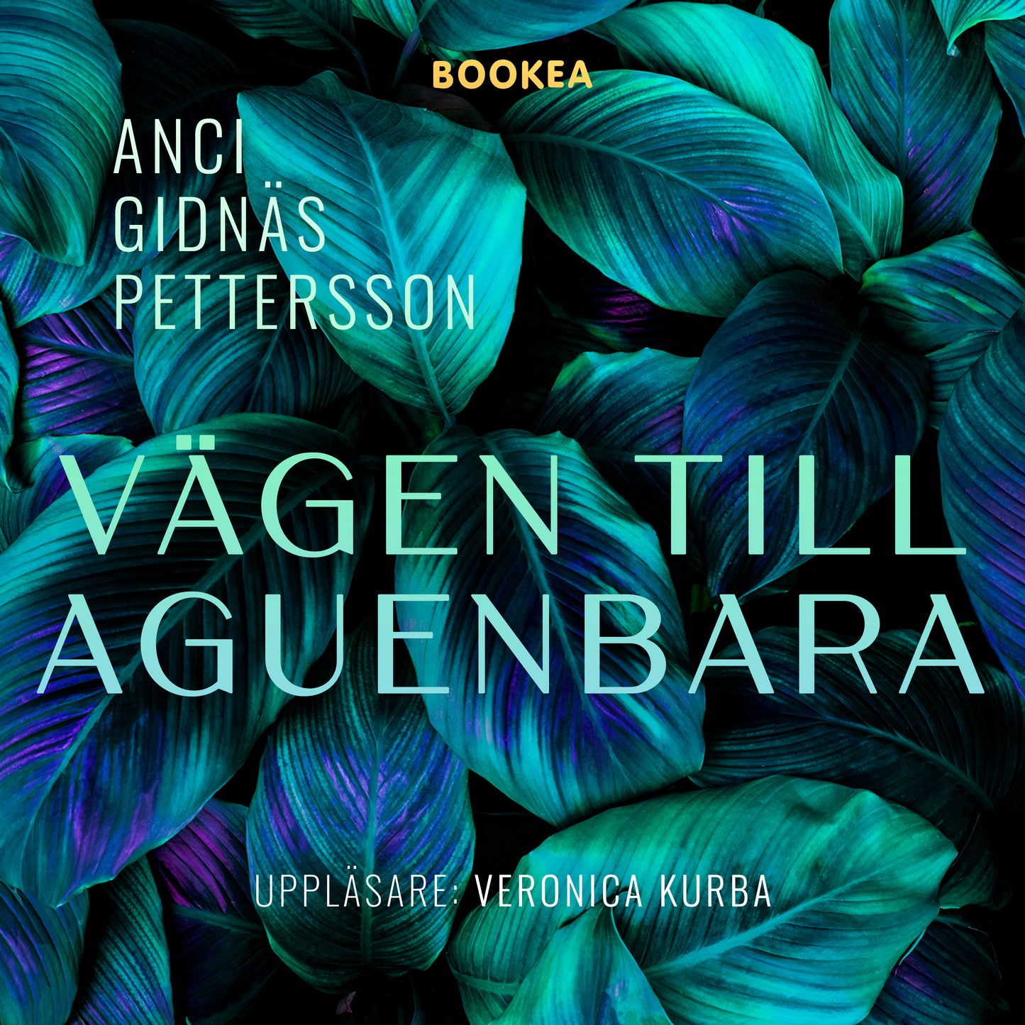 Vägen till Aguenbara – Ljudbok