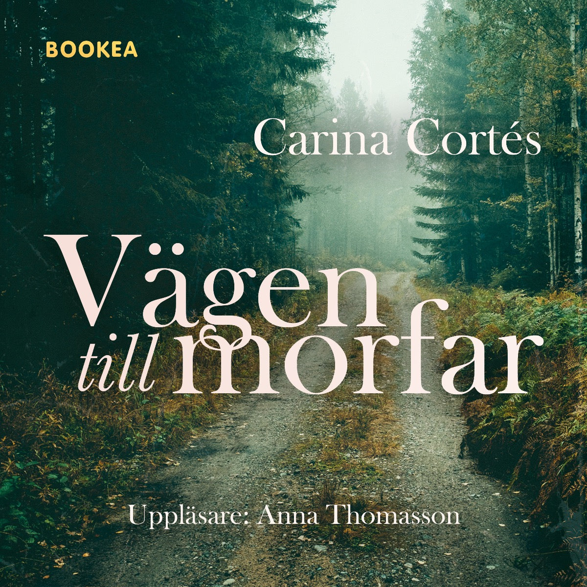 Vägen till morfar – Ljudbok
