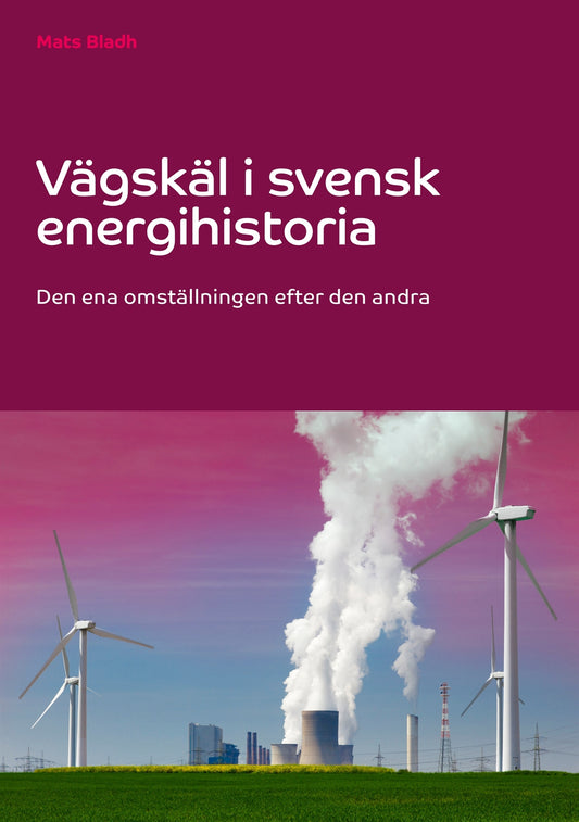 Vägskäl i svensk energihistoria: Den ena omställningen efter den andra – E-bok