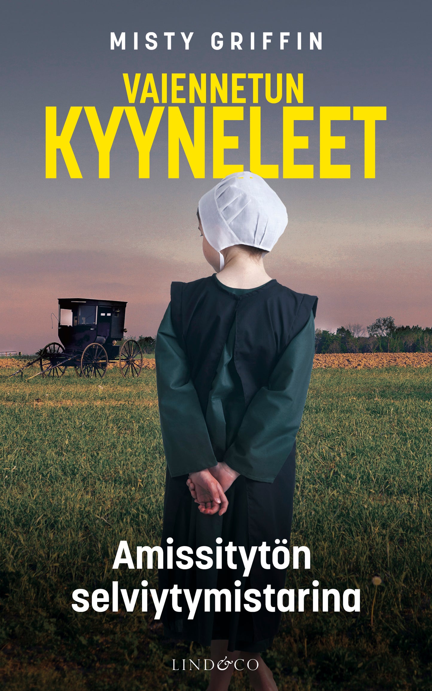 Vaiennetun kyyneleet – E-bok